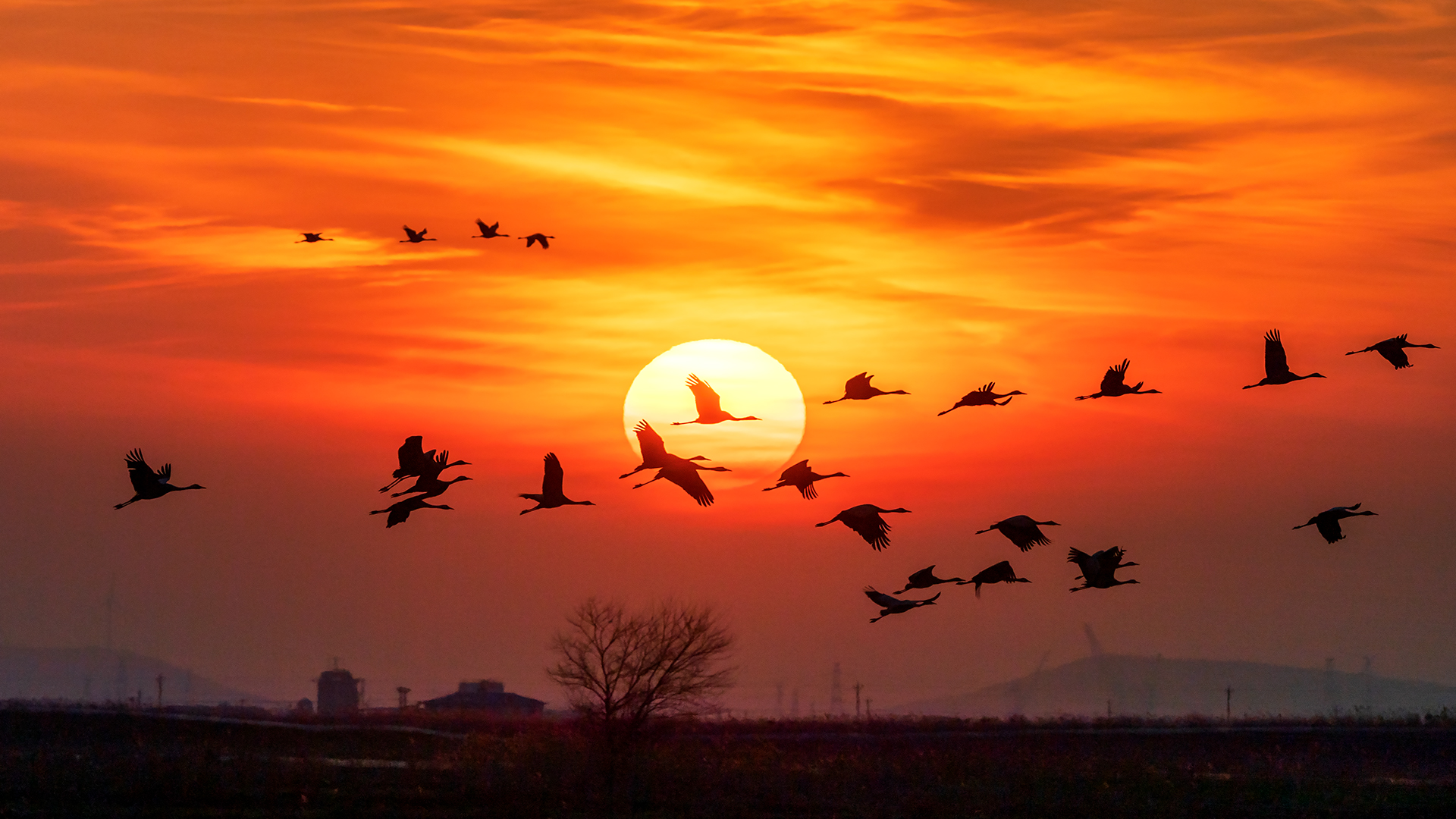 ���顷  dl������.jpg