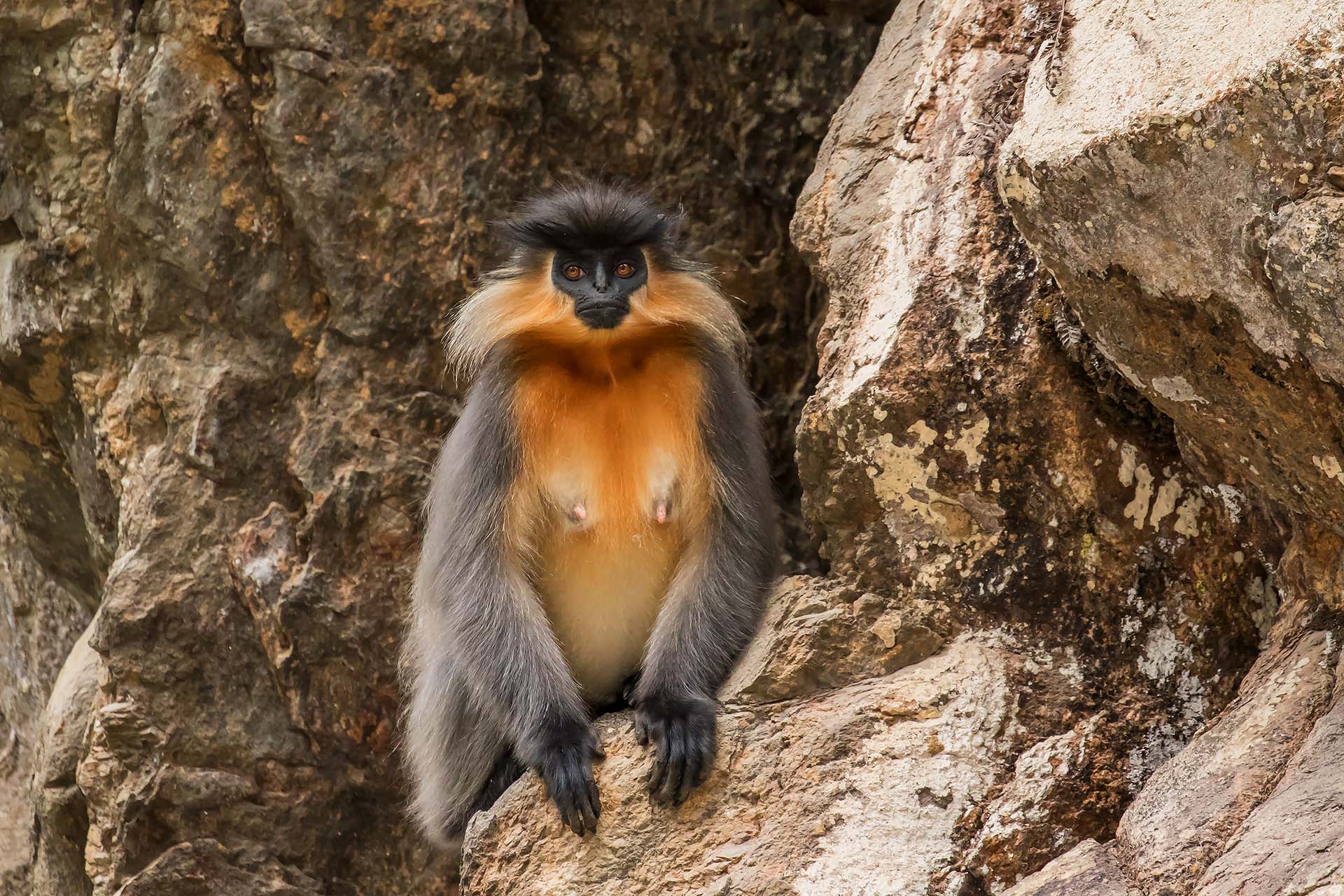 ��ʾ���� ɽɽɽ.jpg