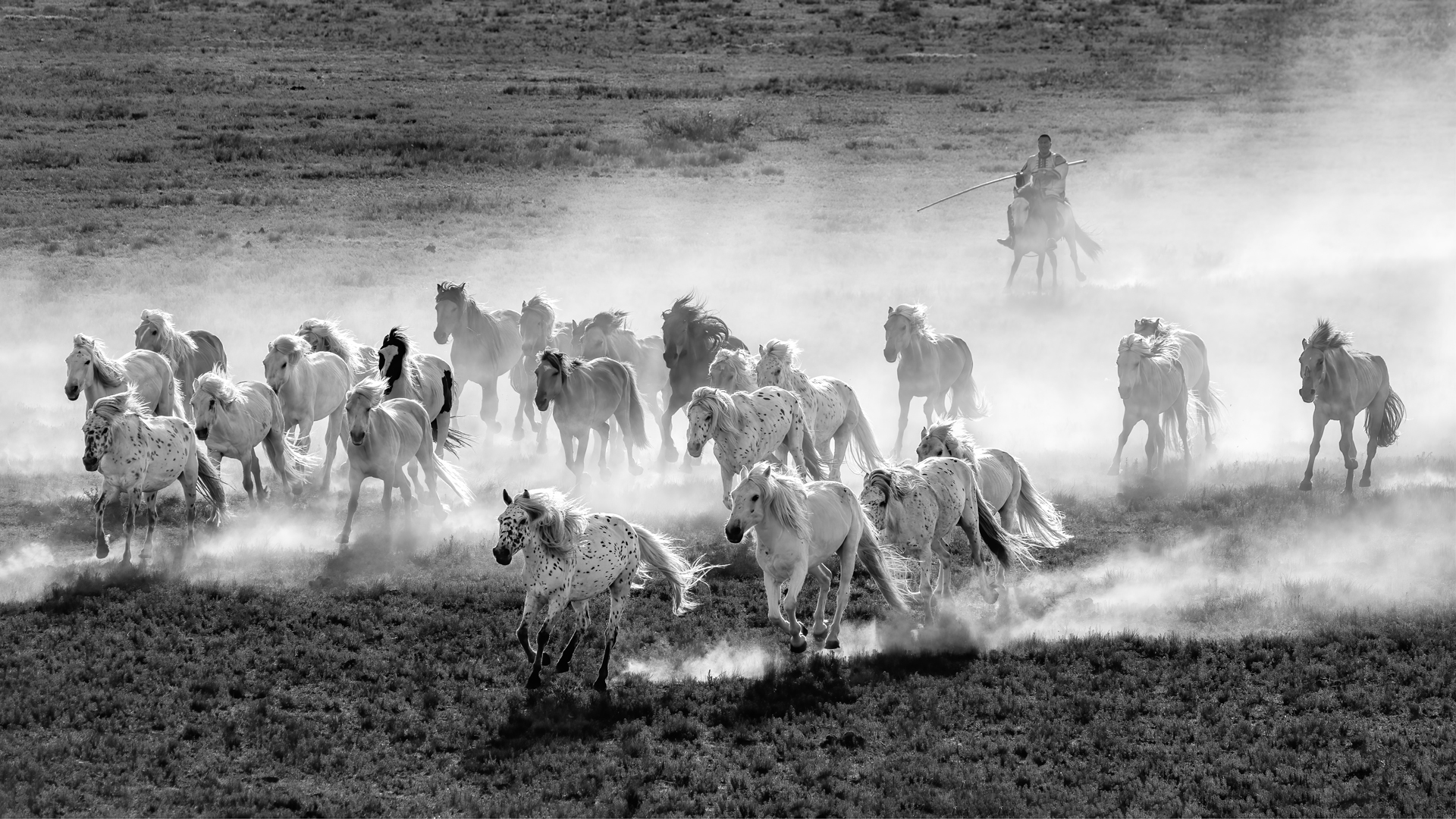 �����質����  ��־����.jpg