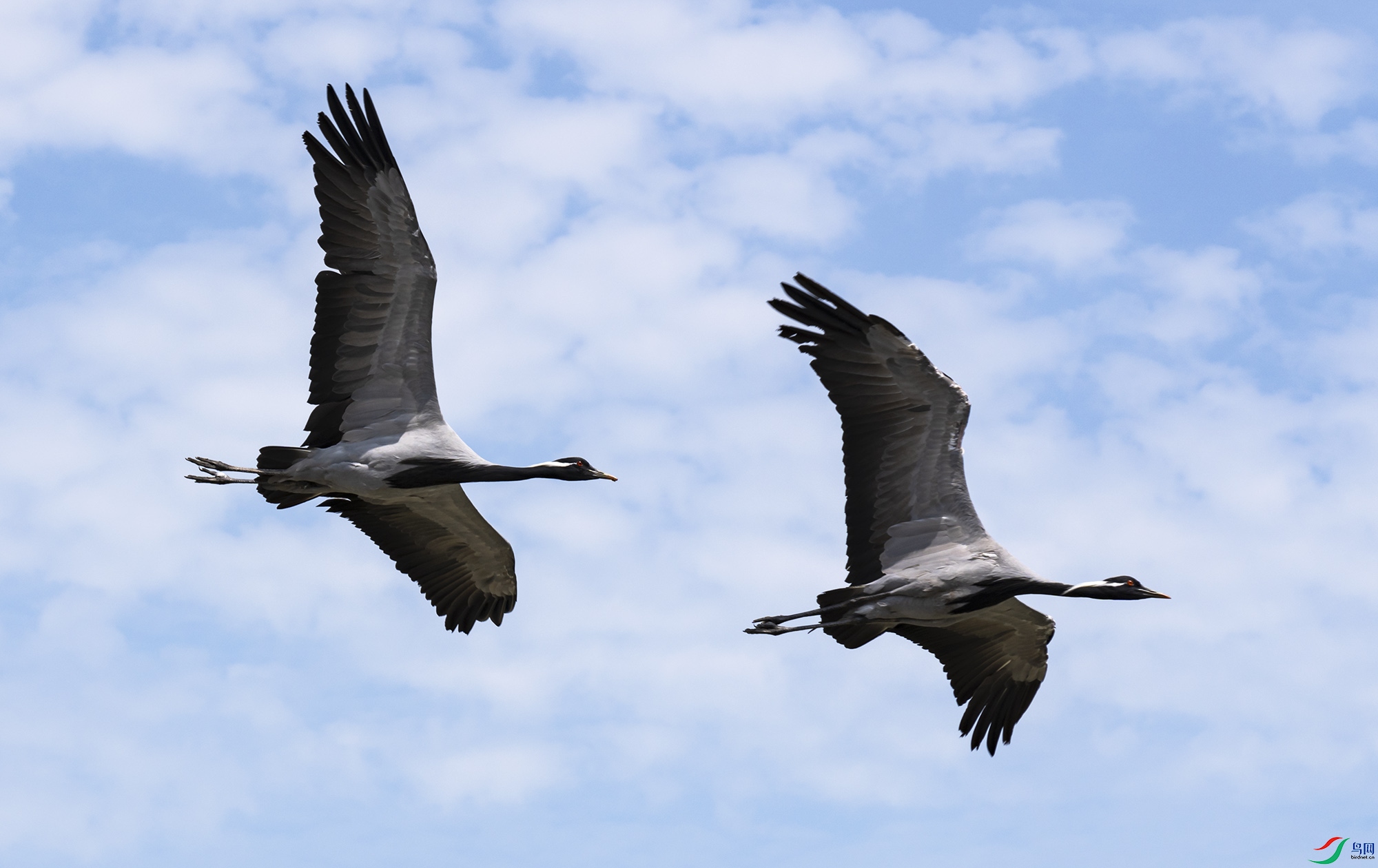 _DSC1117 ����.jpg