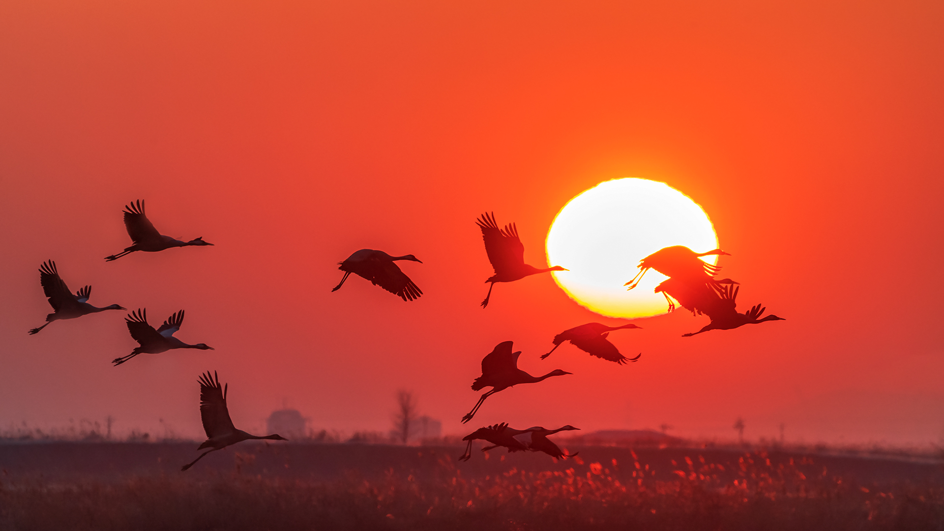 ����Խ��  dl������.jpg