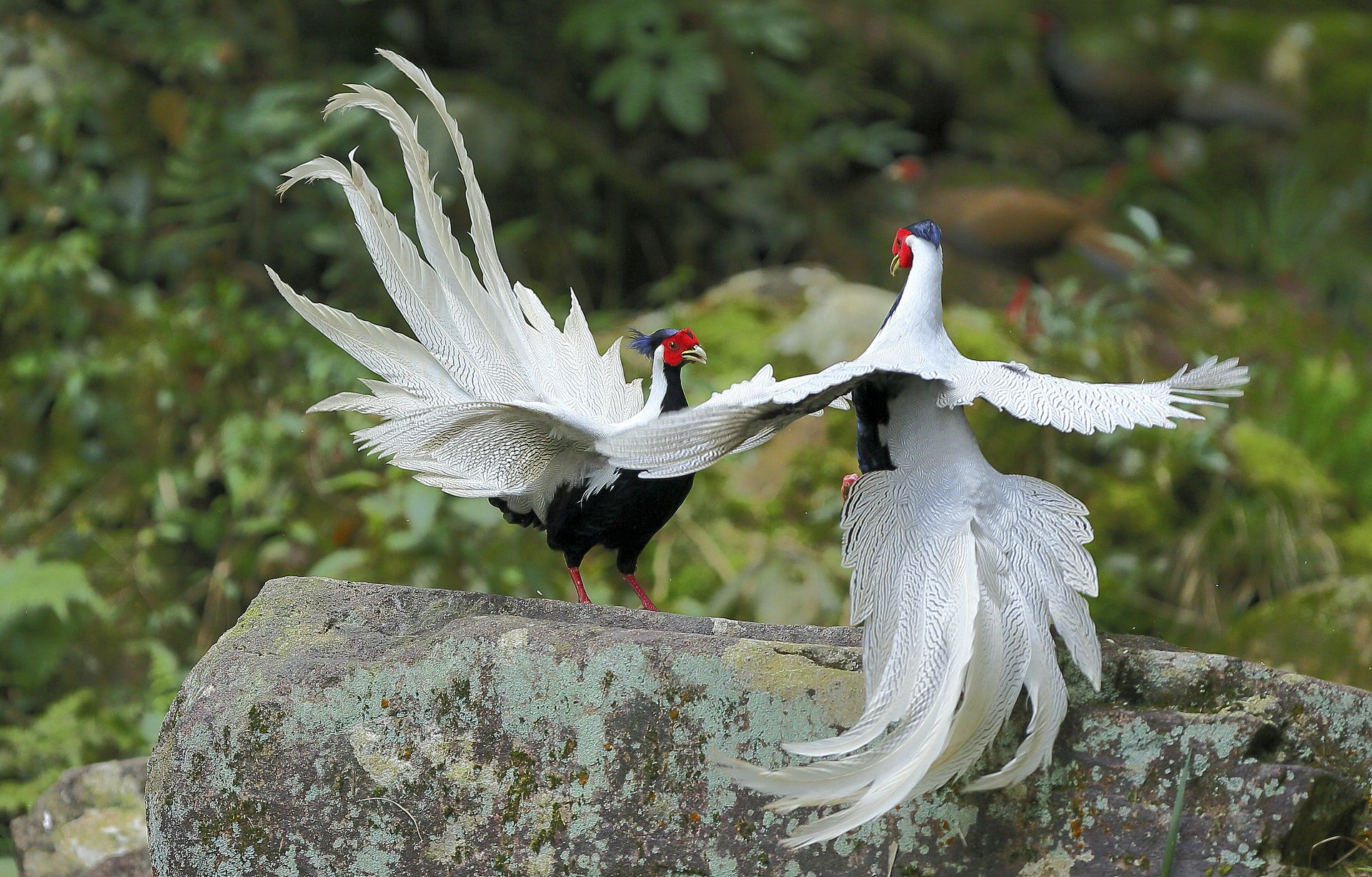 ����������趯��  8341.JPG