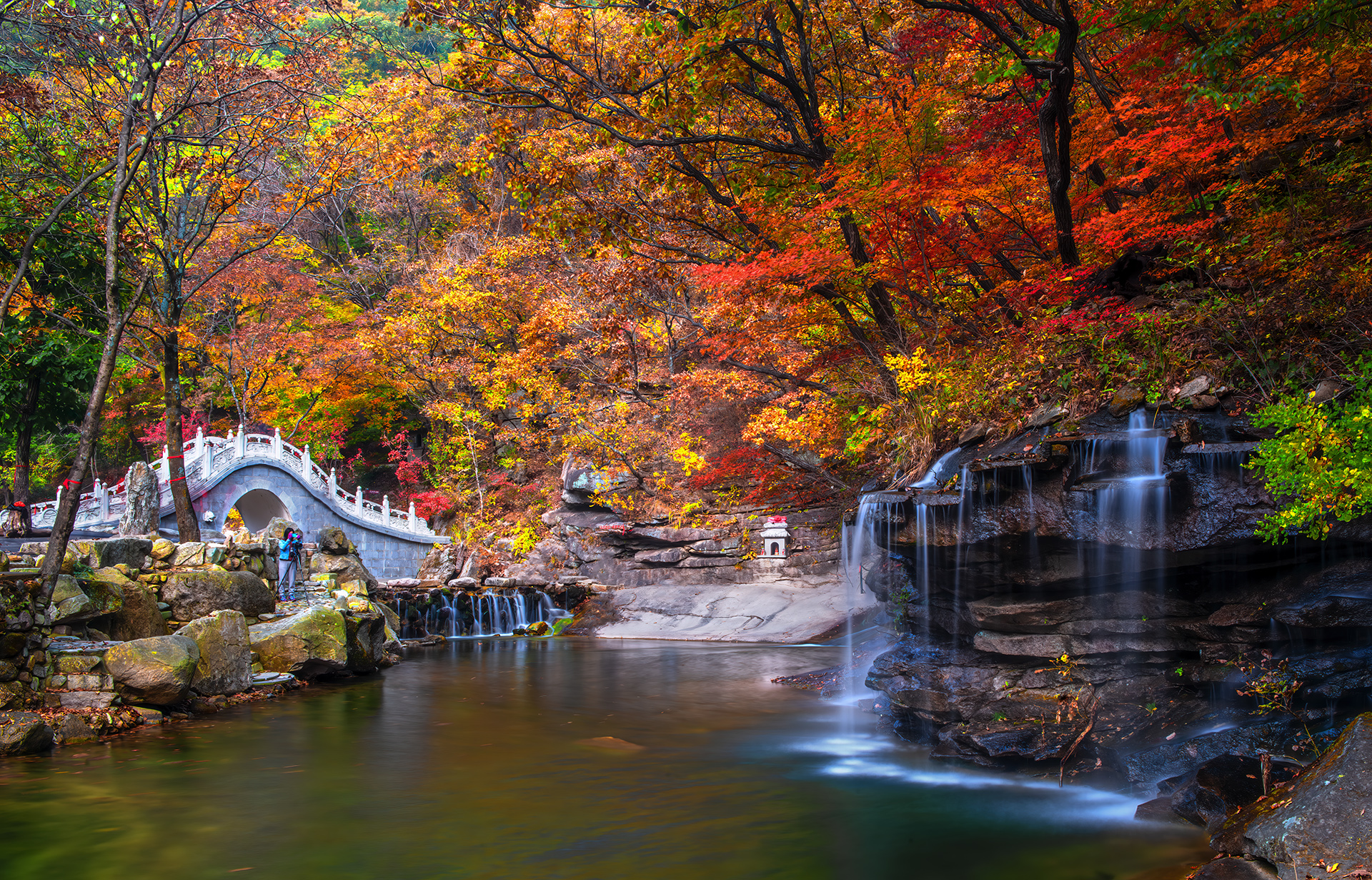 �������̶��ɭ�ֹ�԰��  ��Ӱ518.jpg