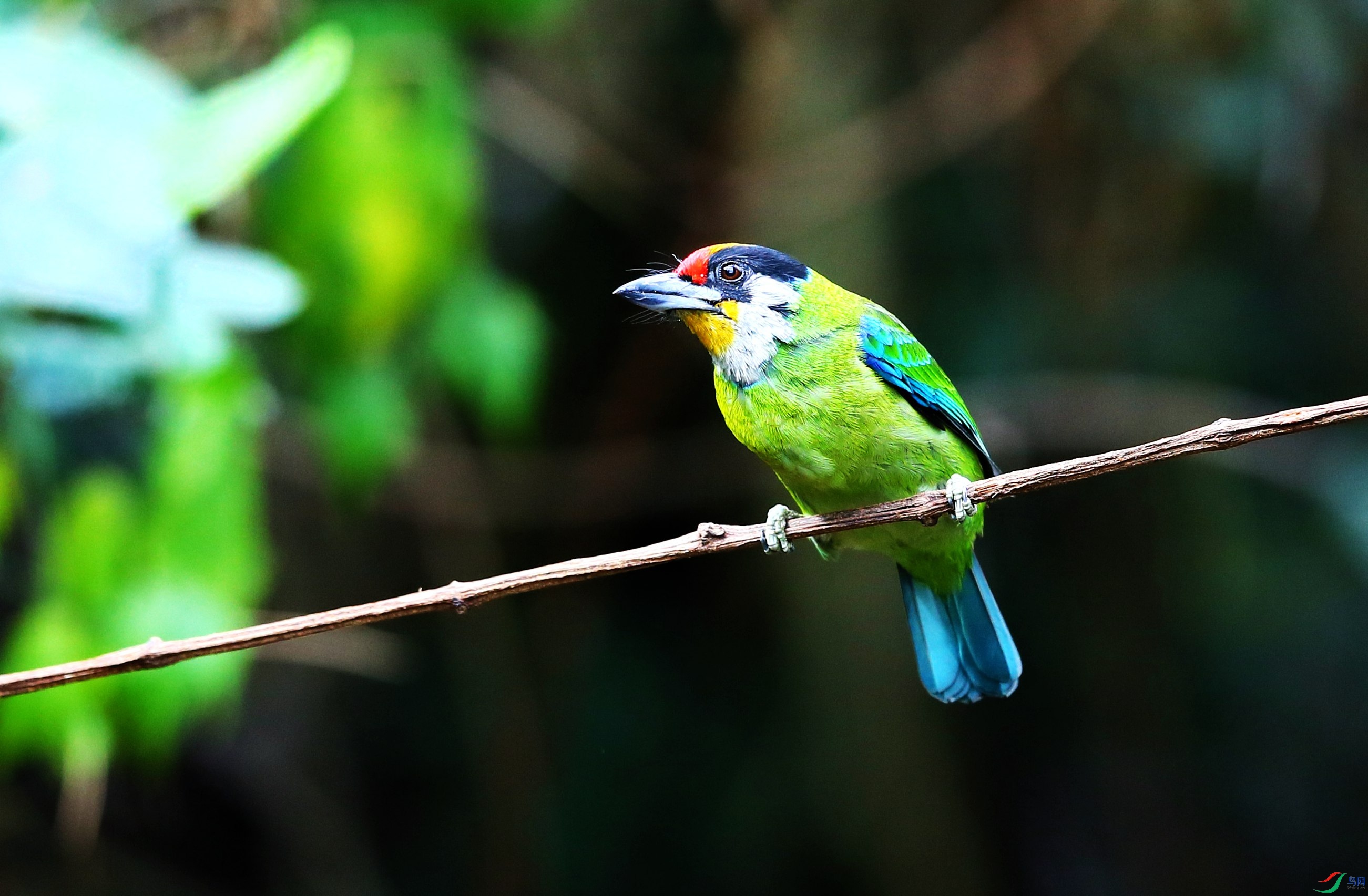 �������ľ�� (4).JPG