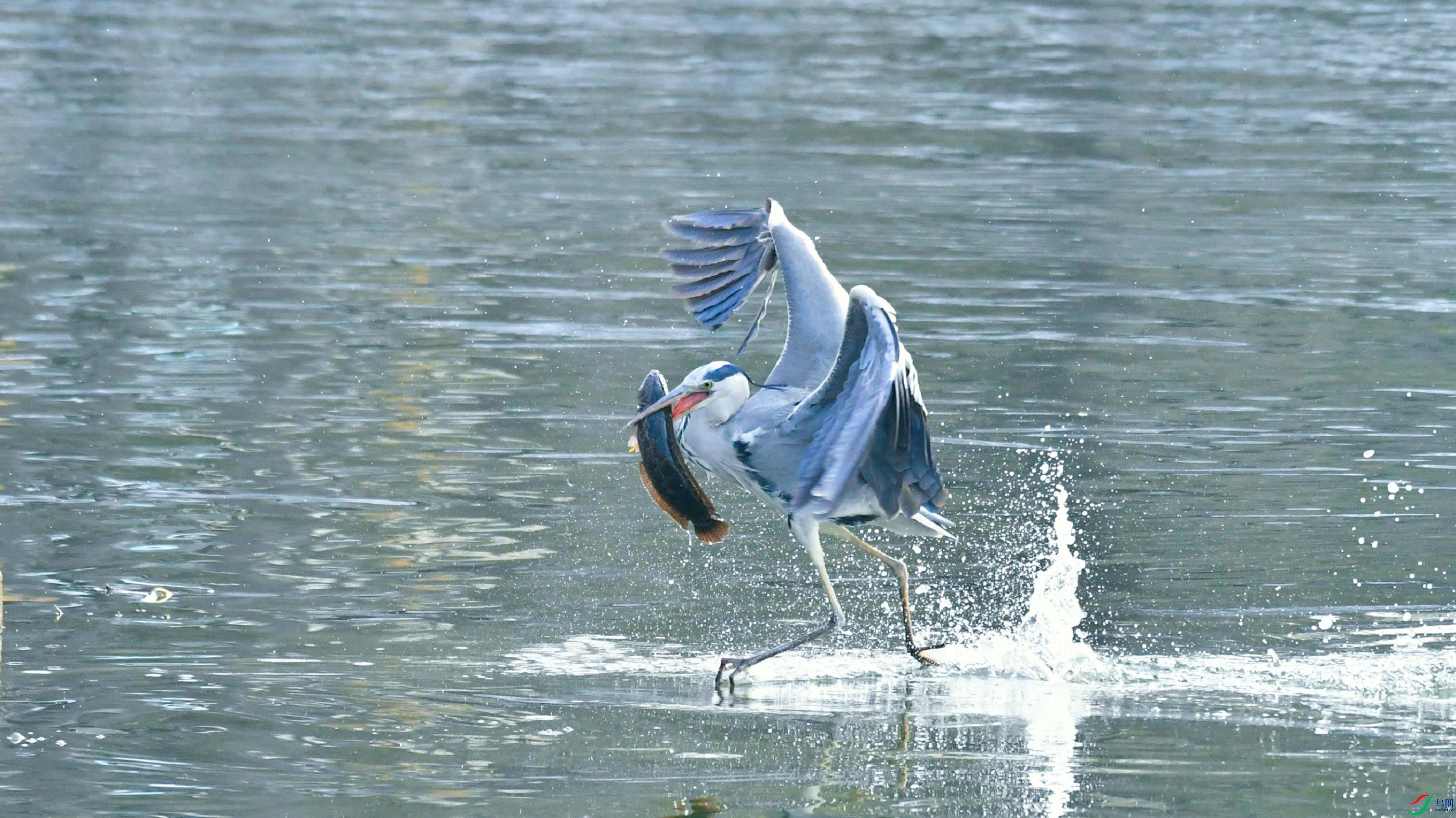 DSC_9150.JPG