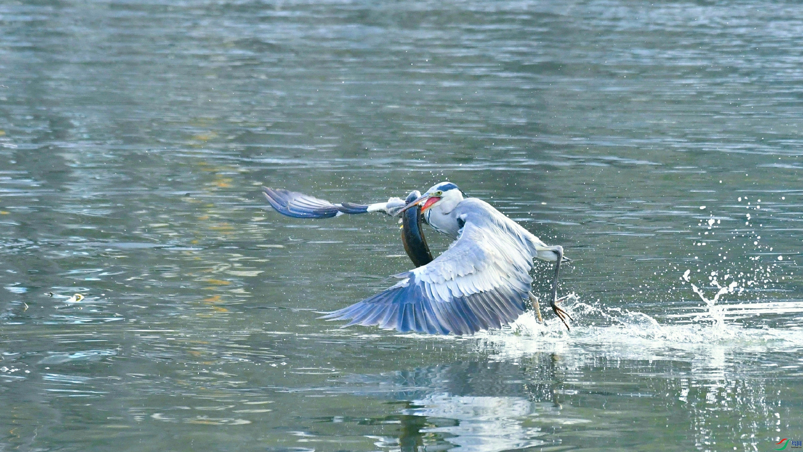 DSC_9149.JPG