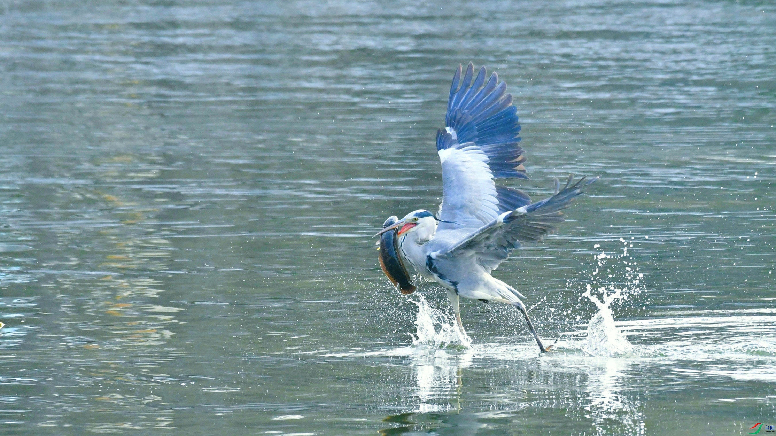DSC_9148.JPG