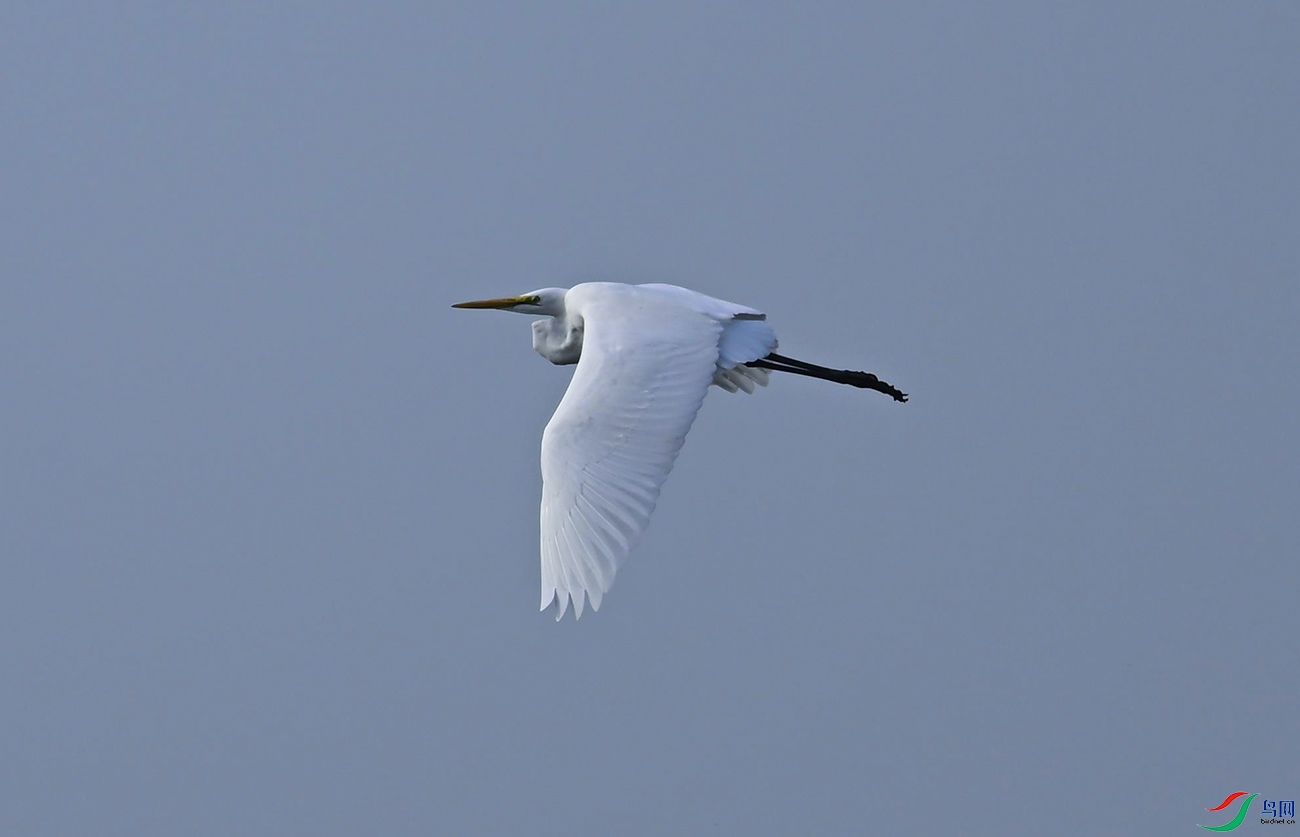 _DSC3744f.jpg