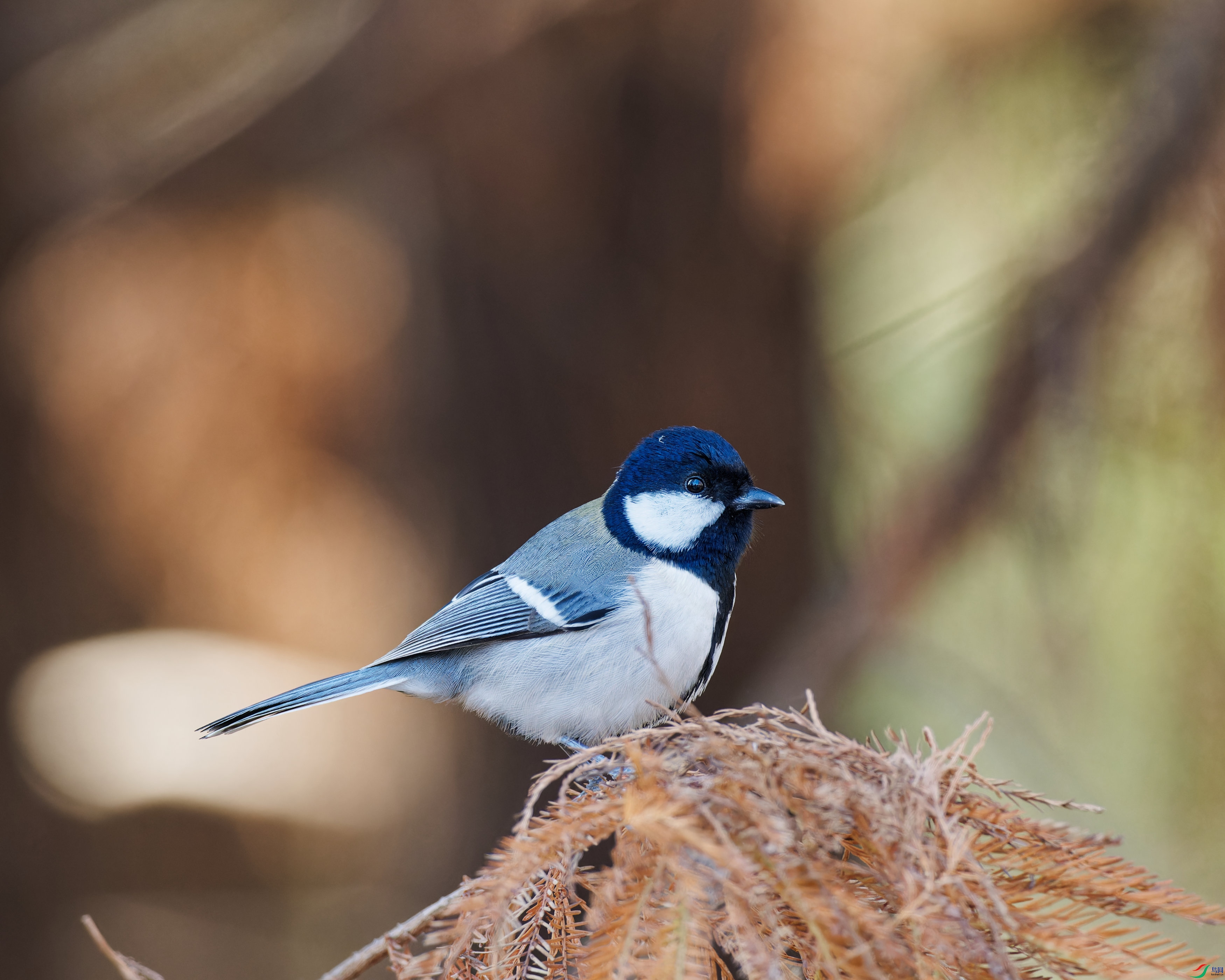 PC240333_DxO_DxO-1.jpg