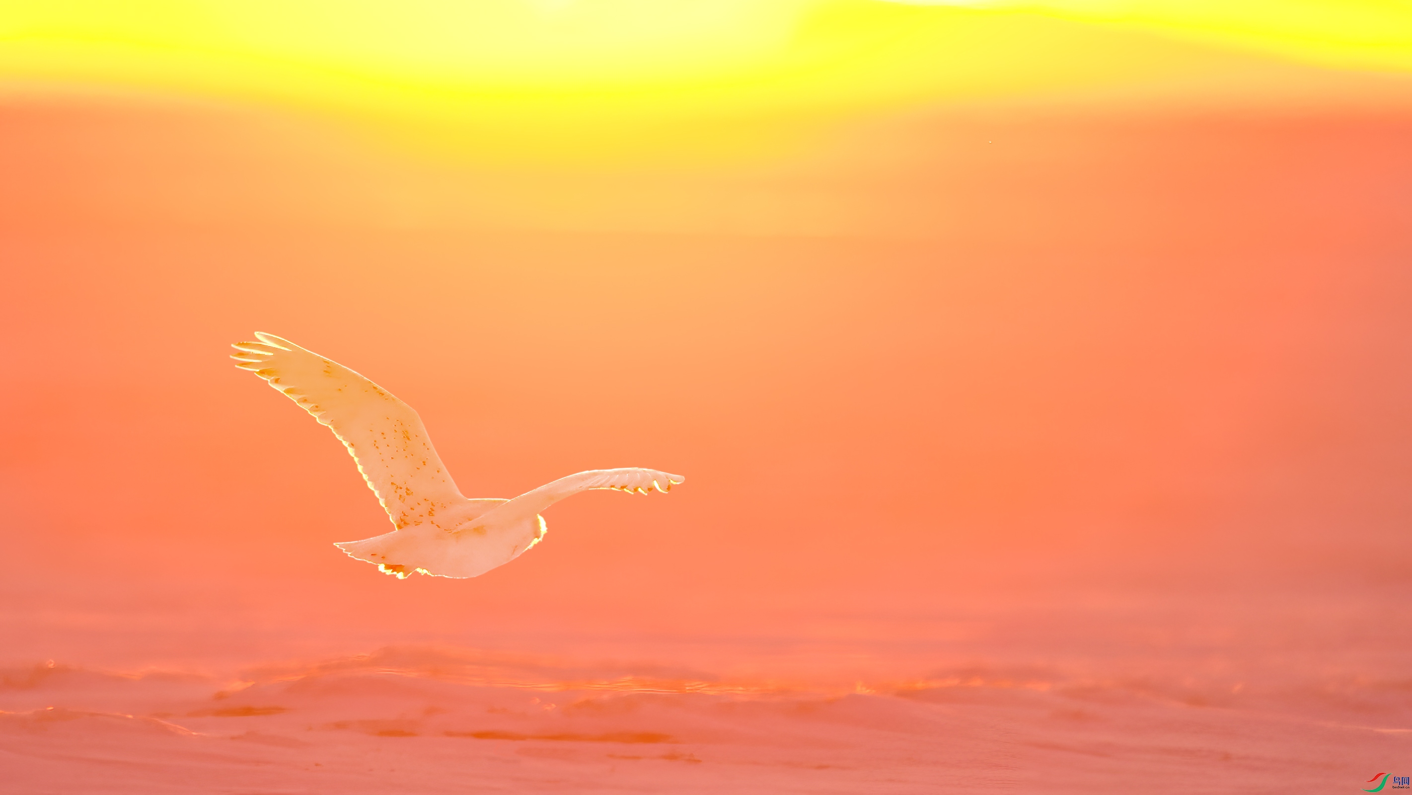 ѩ�^�����䣩DSC_3455.jpg