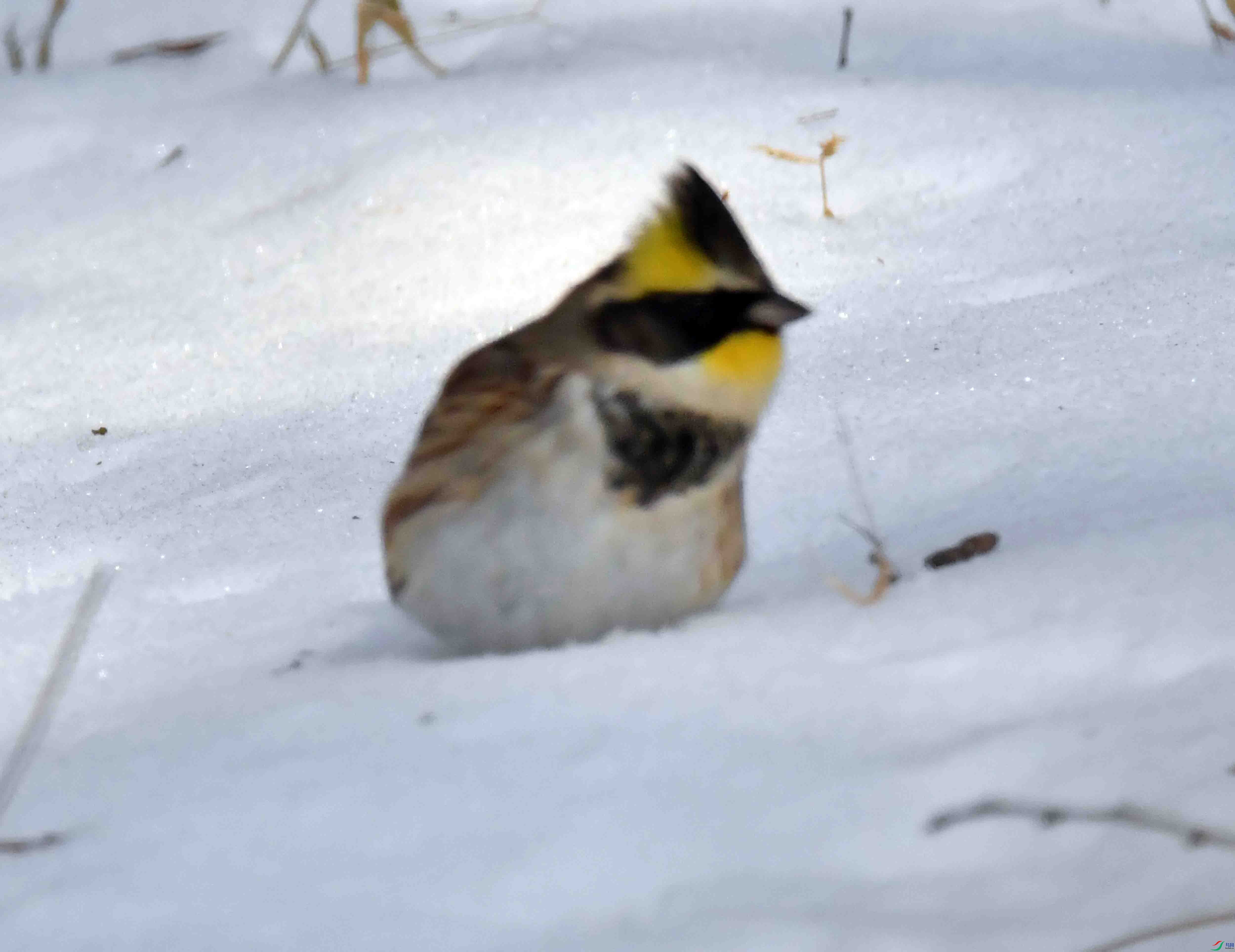 DSC_1792.JPG