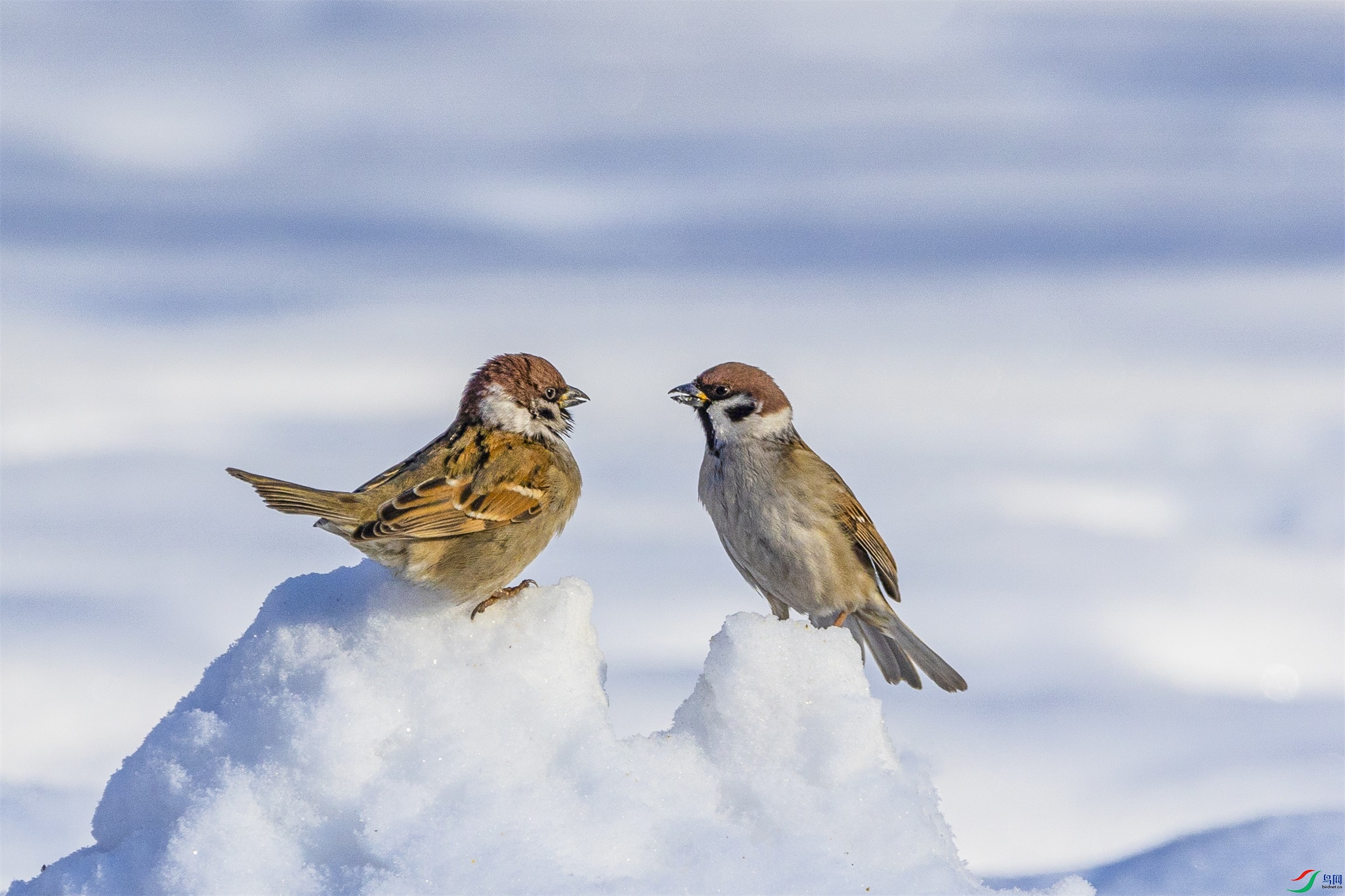 1K3A6158 ����1.jpg