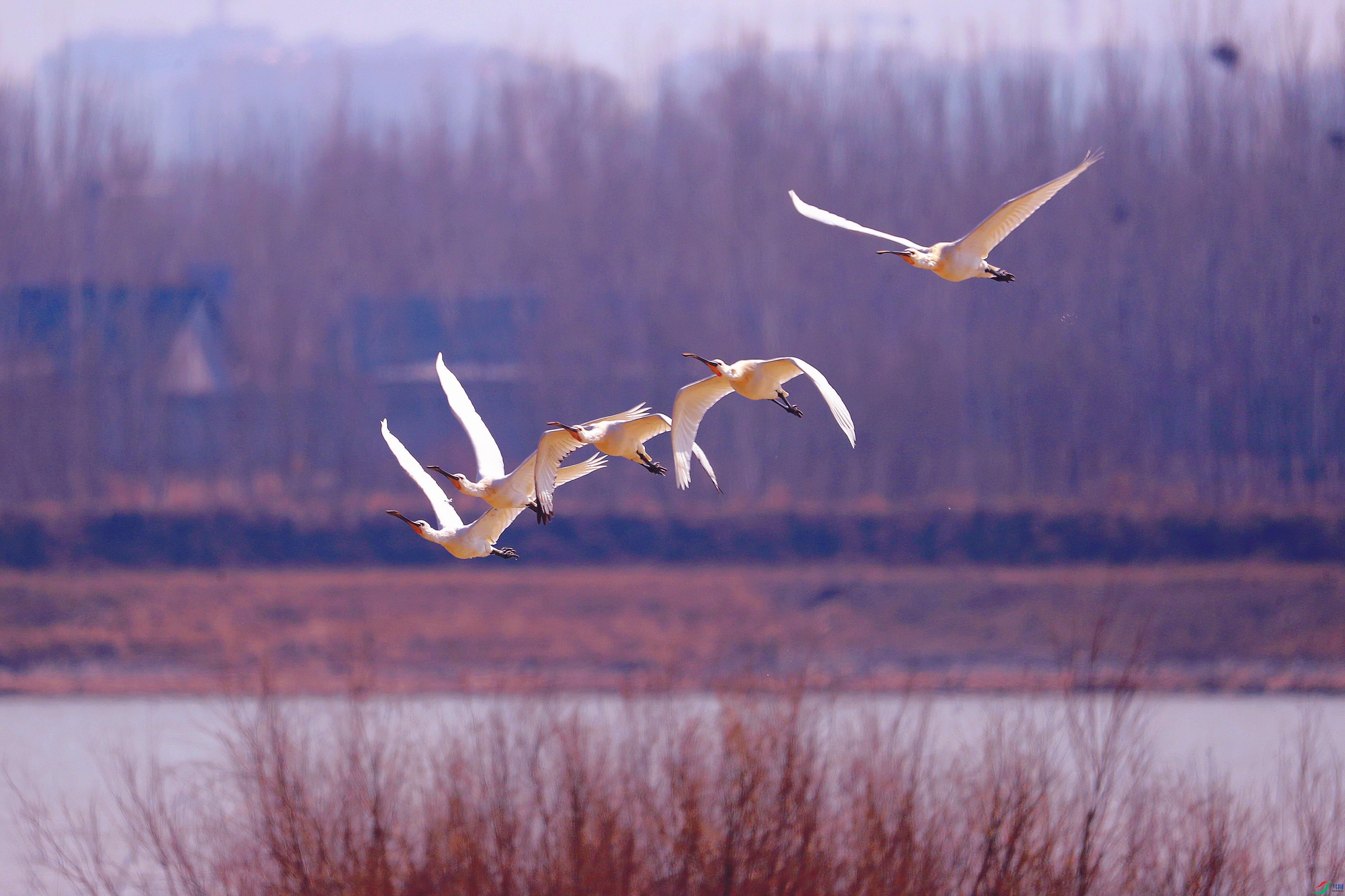 AS8I2968_����.jpg