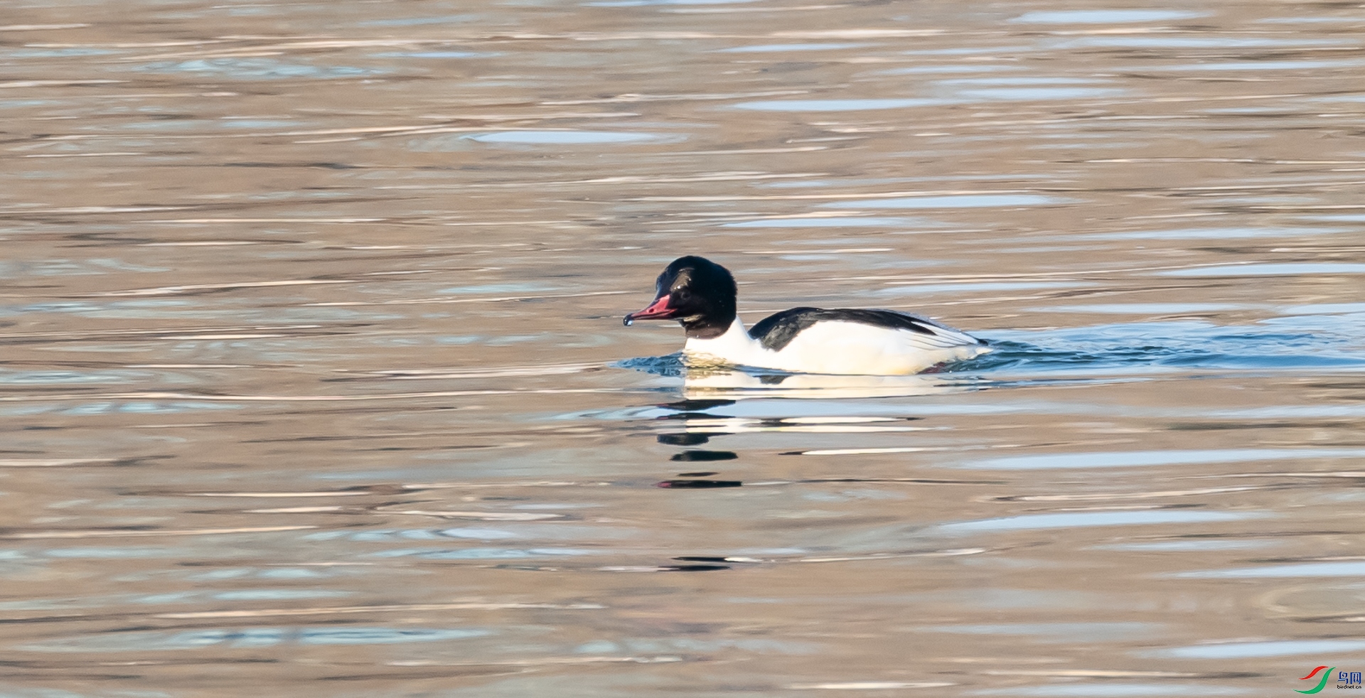 DSC_5722.jpg
