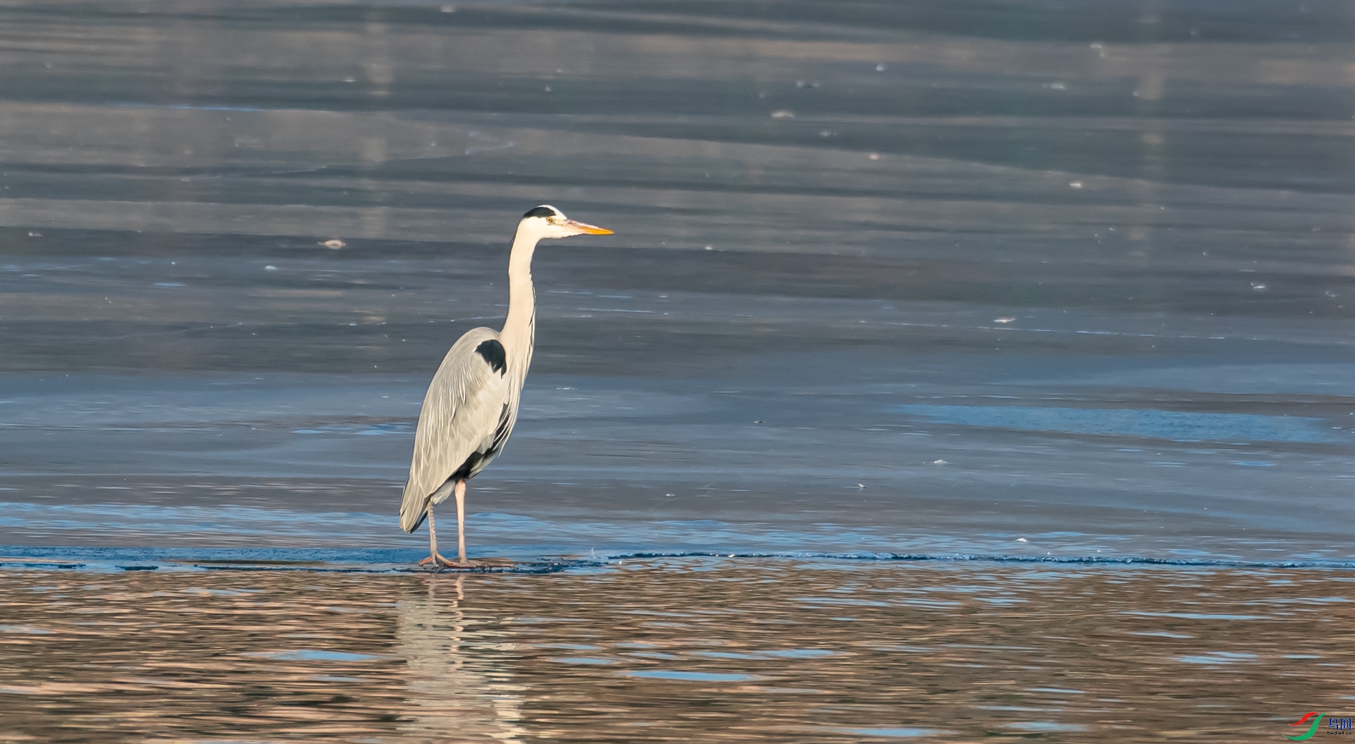 DSC_5645.jpg