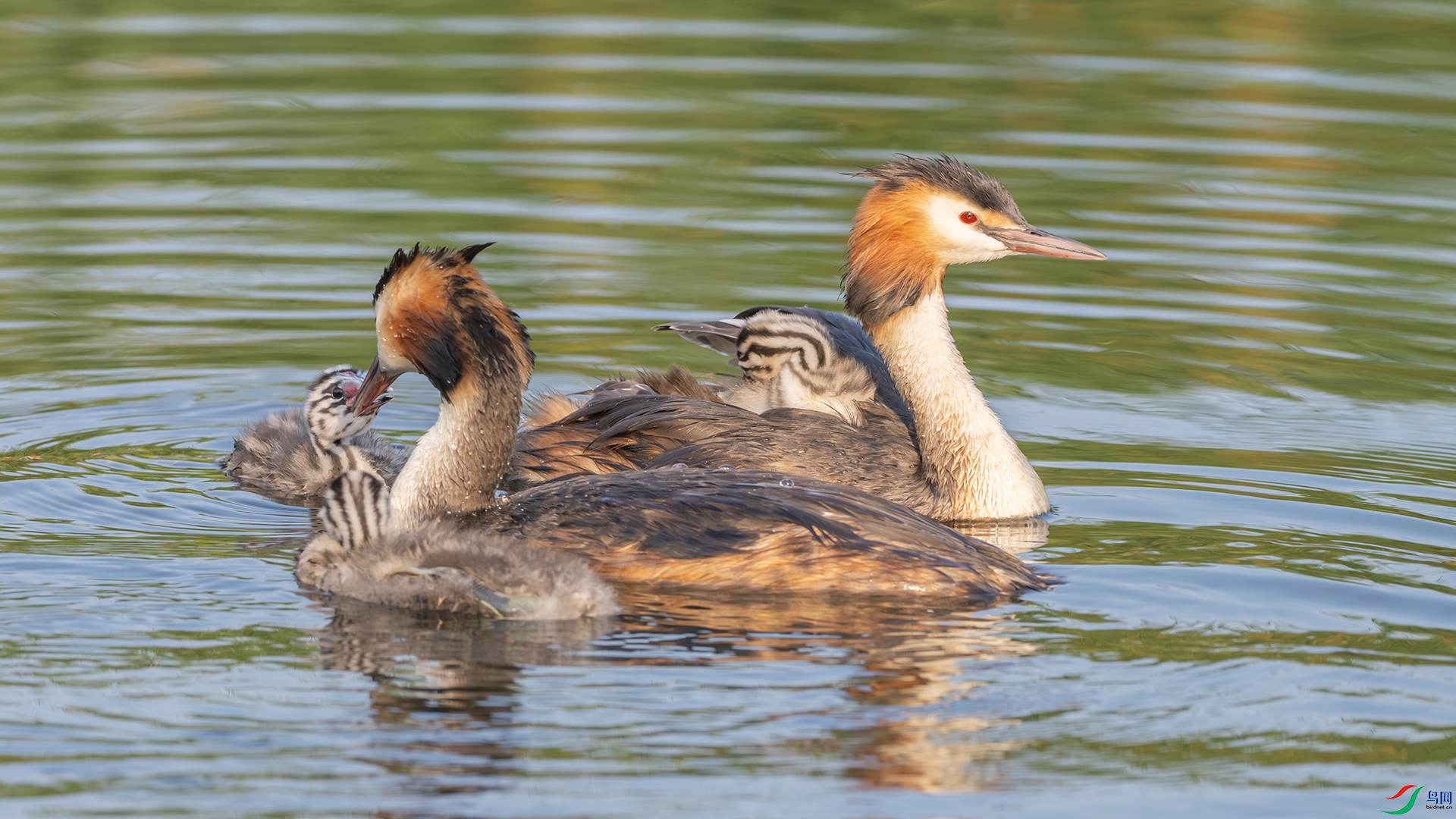 �ļ��� ���� ������ͷ.jpg