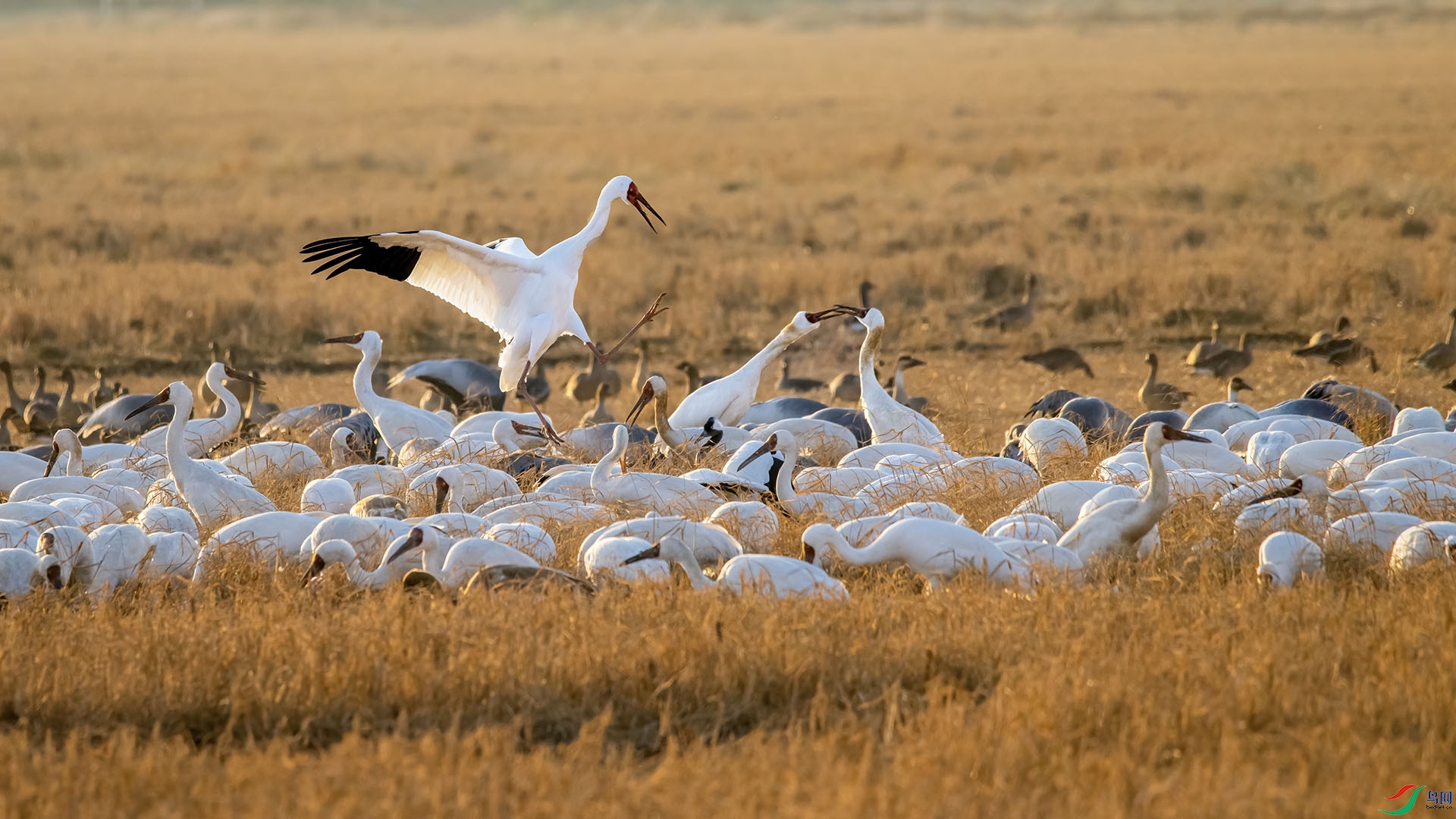 DSC_6434 ����.jpg