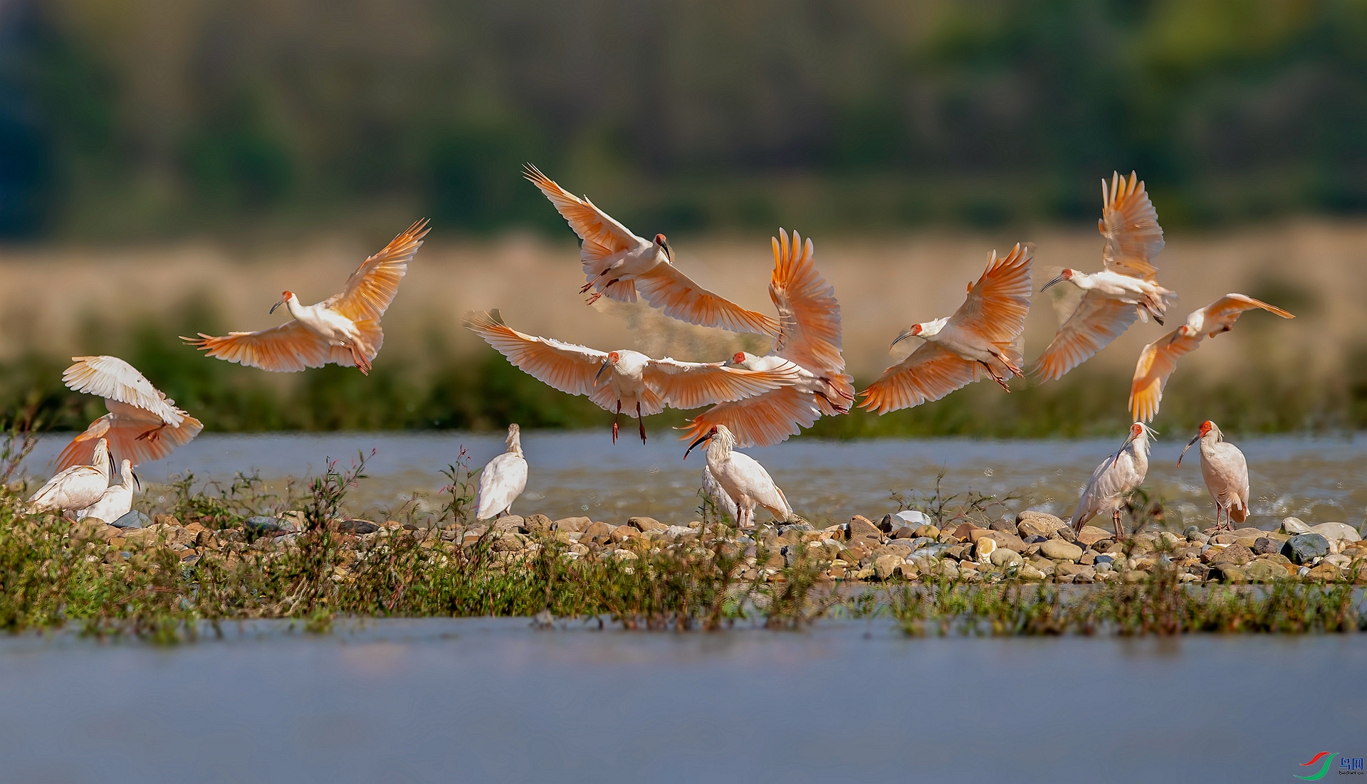 DSC_7144 ����_����.jpg