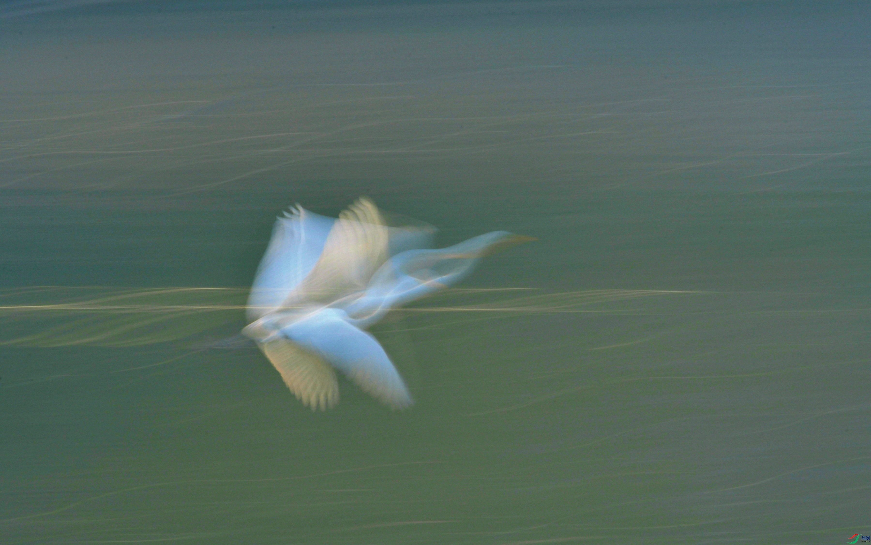 DSC_9758.JPG