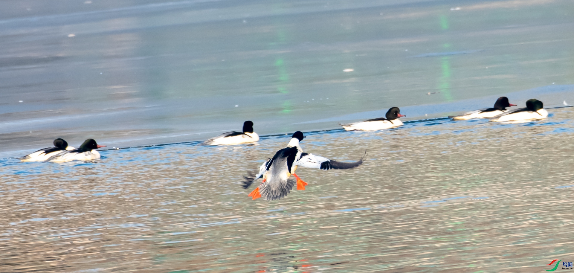 DSC_5664.jpg