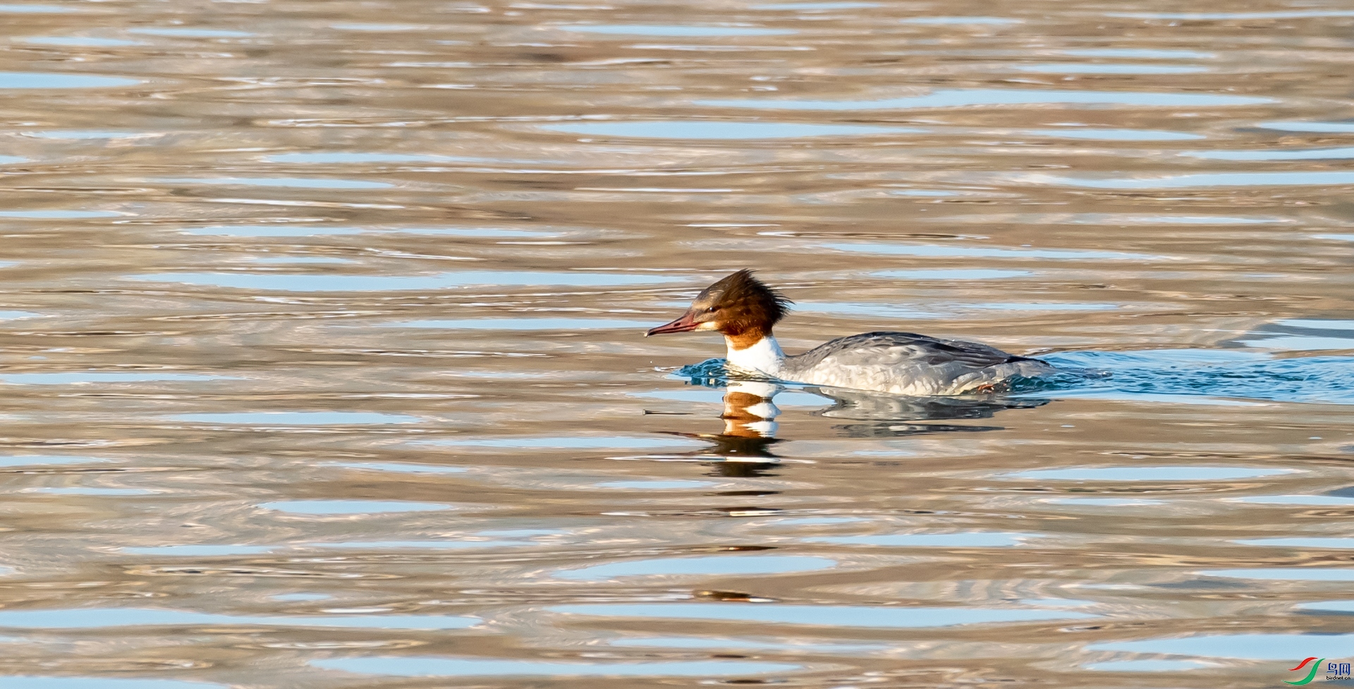 DSC_5697.jpg