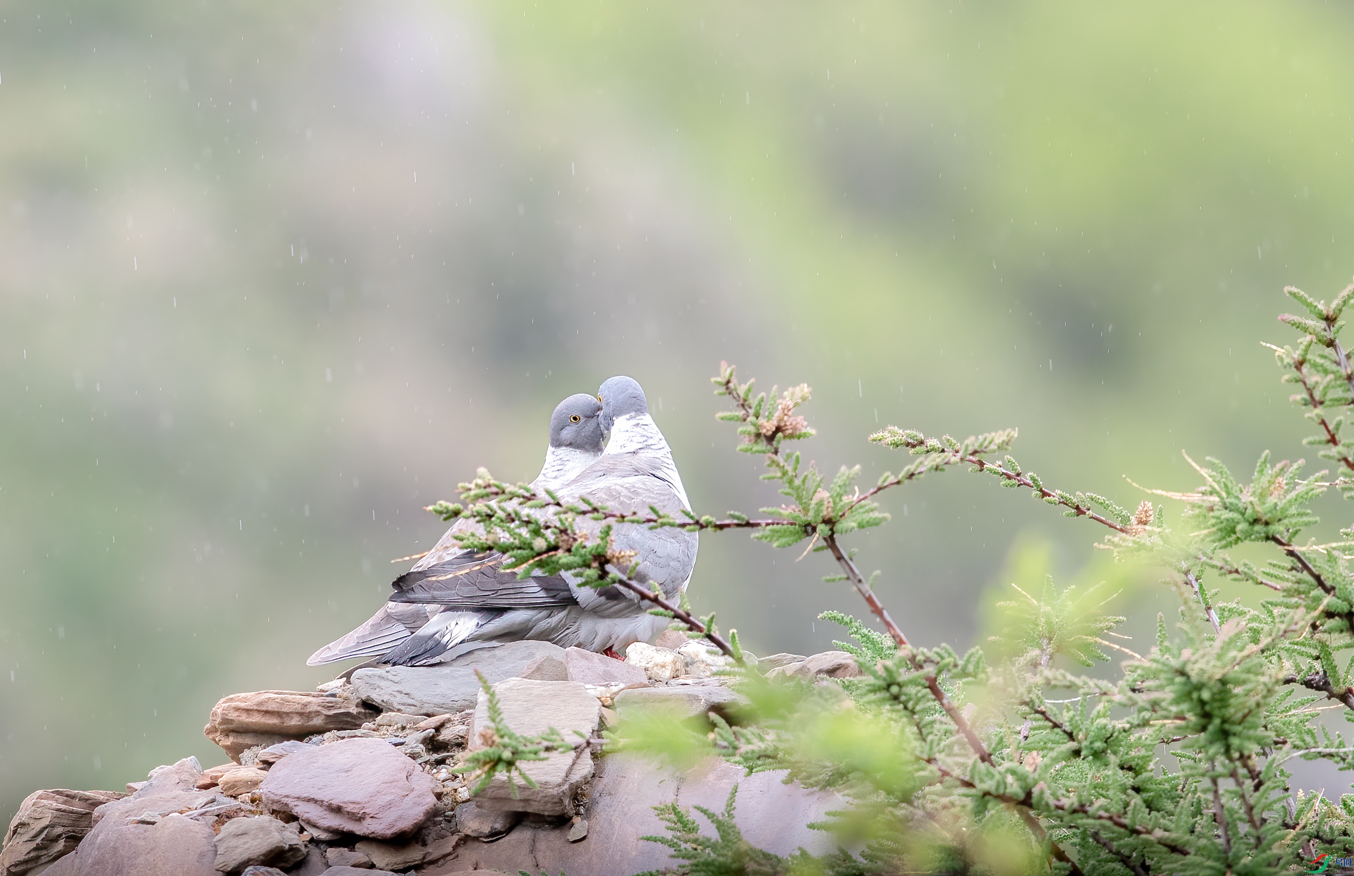 AY8I2374 ����.jpg-1.jpg