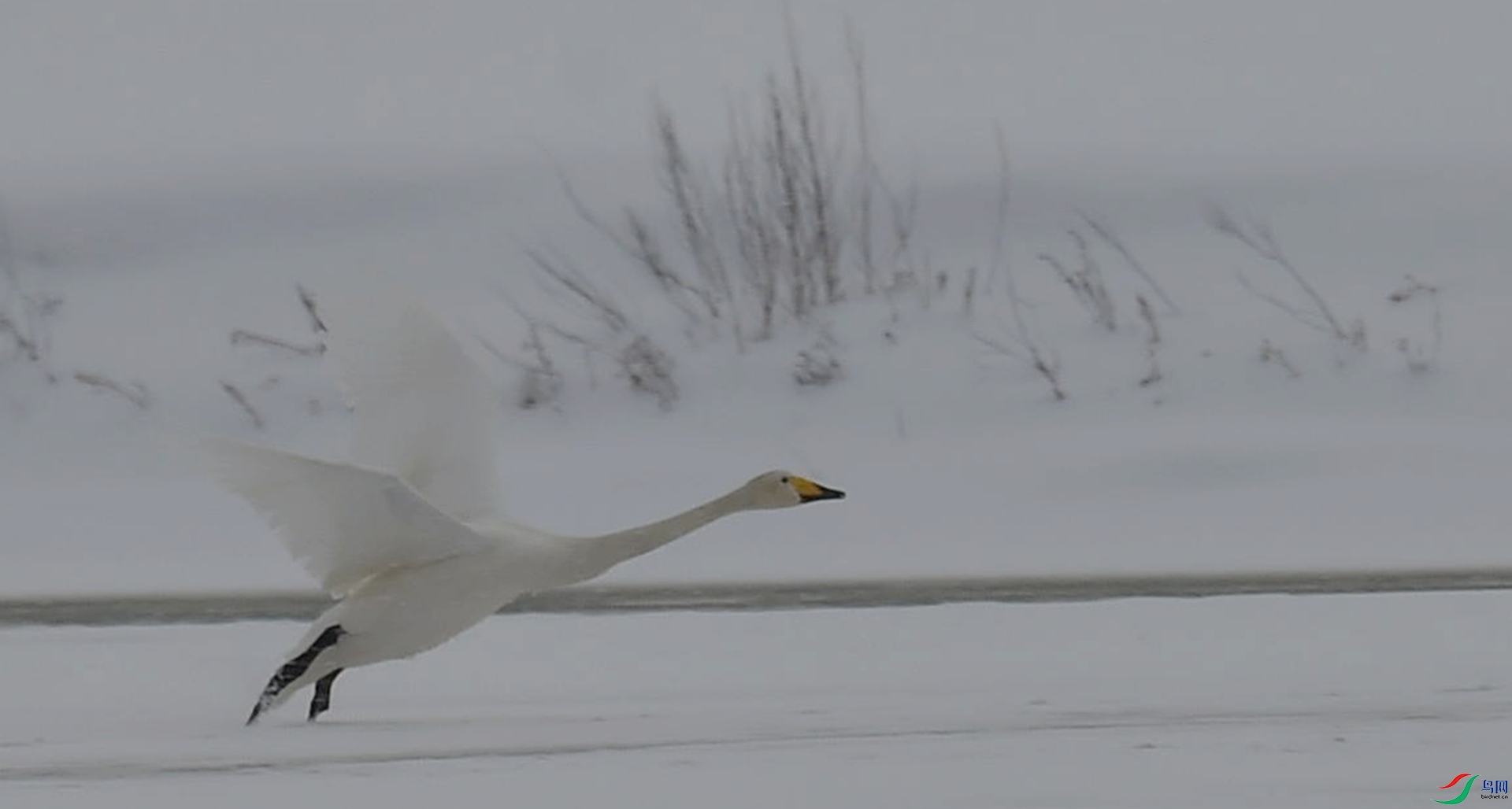 DSC_3393_����.jpg