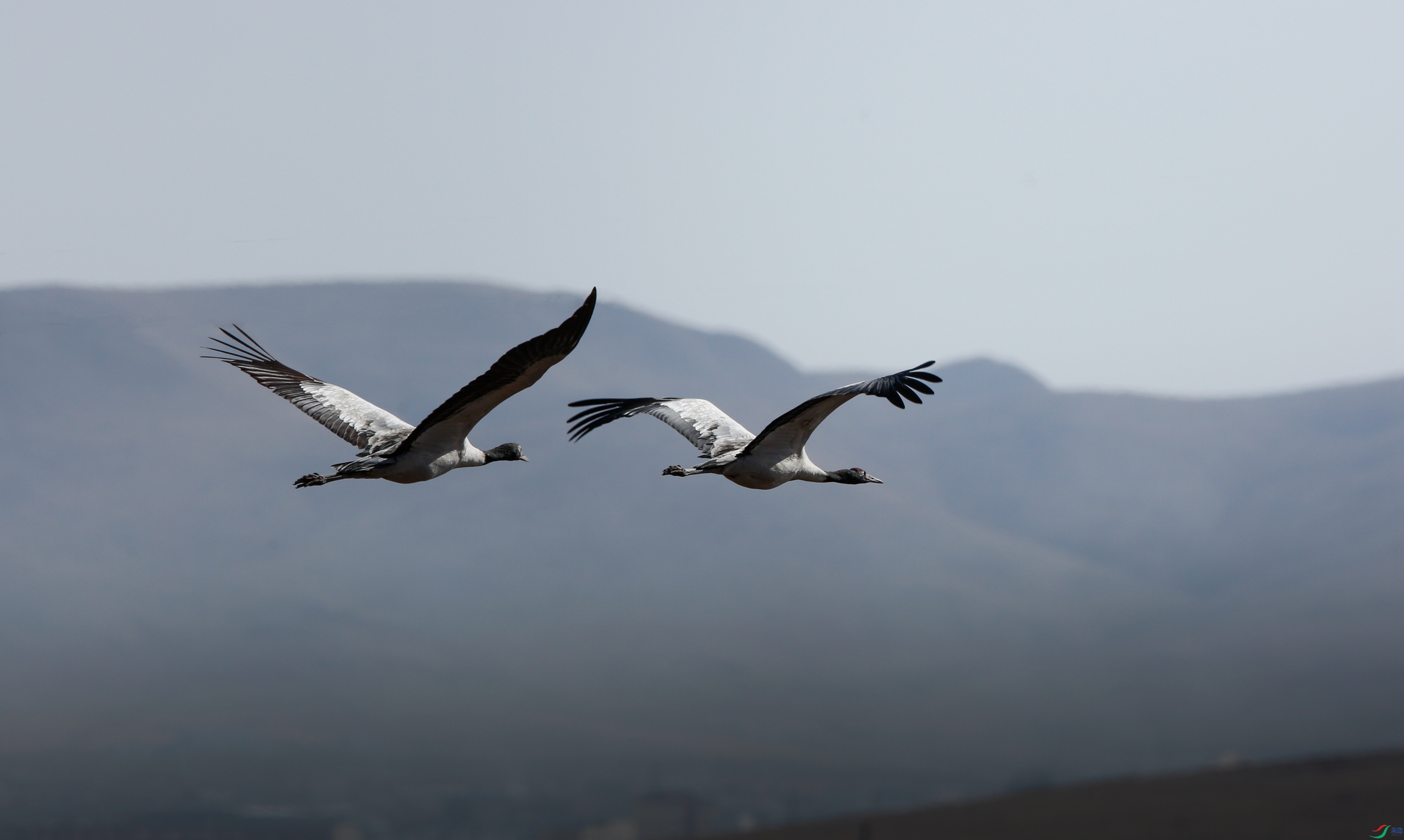 _39A7149 - ����.jpg