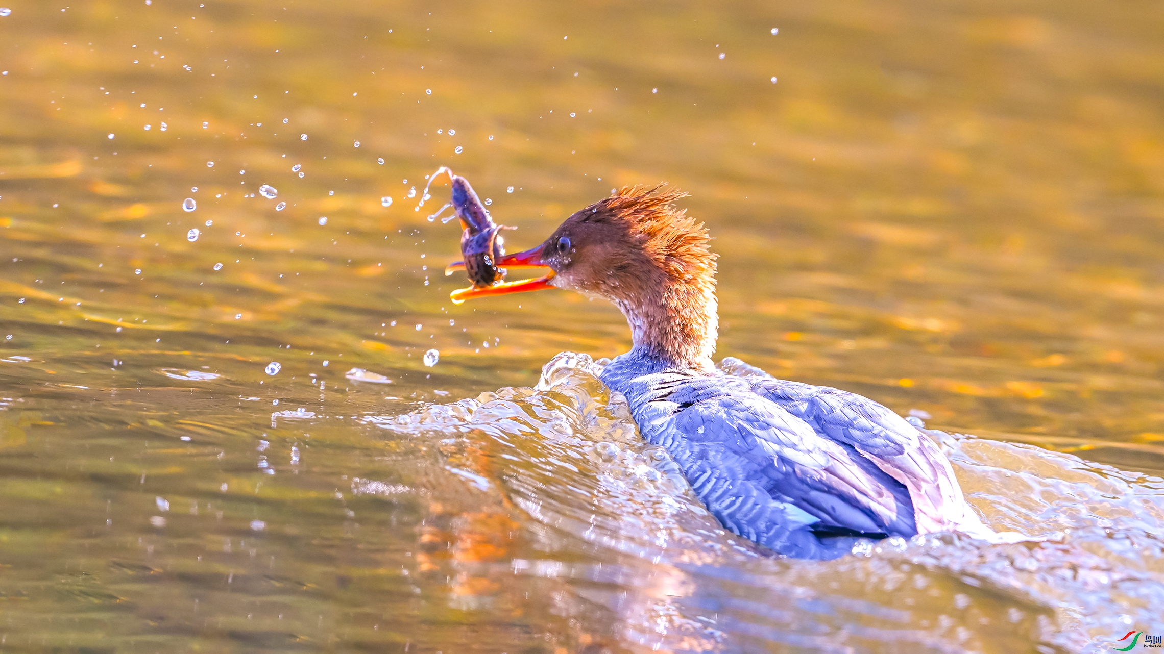 0225 ����.jpg