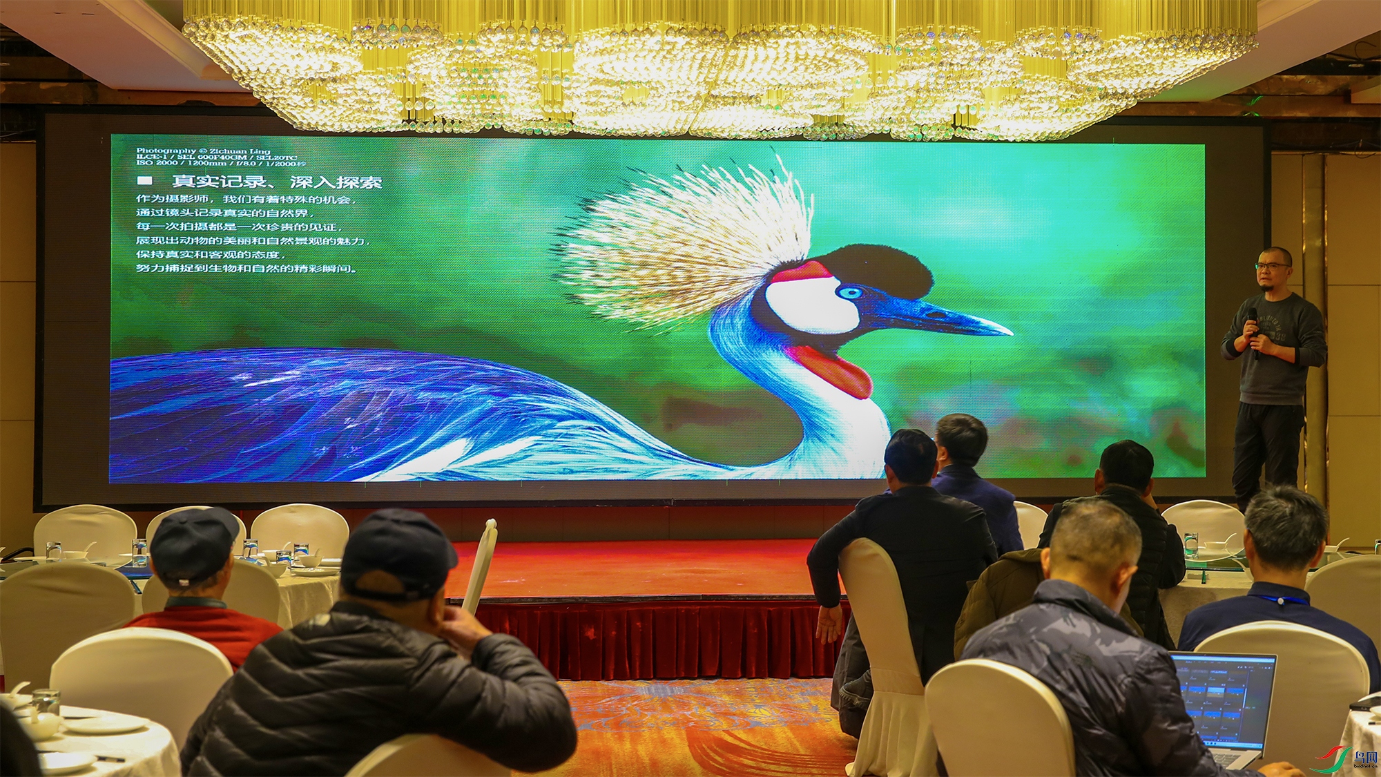 WechatIMG988-1 ����.jpg