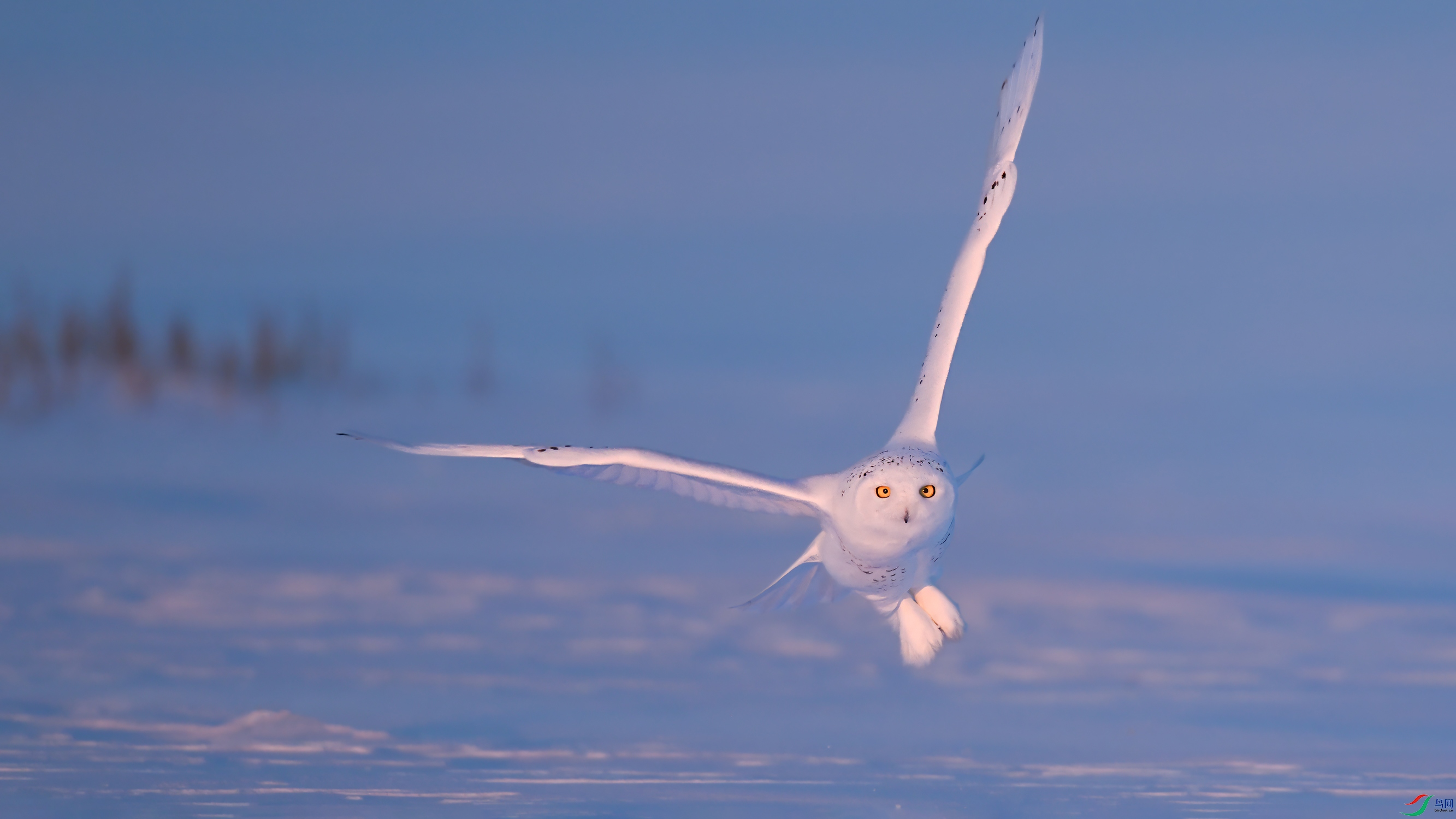 ѩ�^DSC_7108.jpg