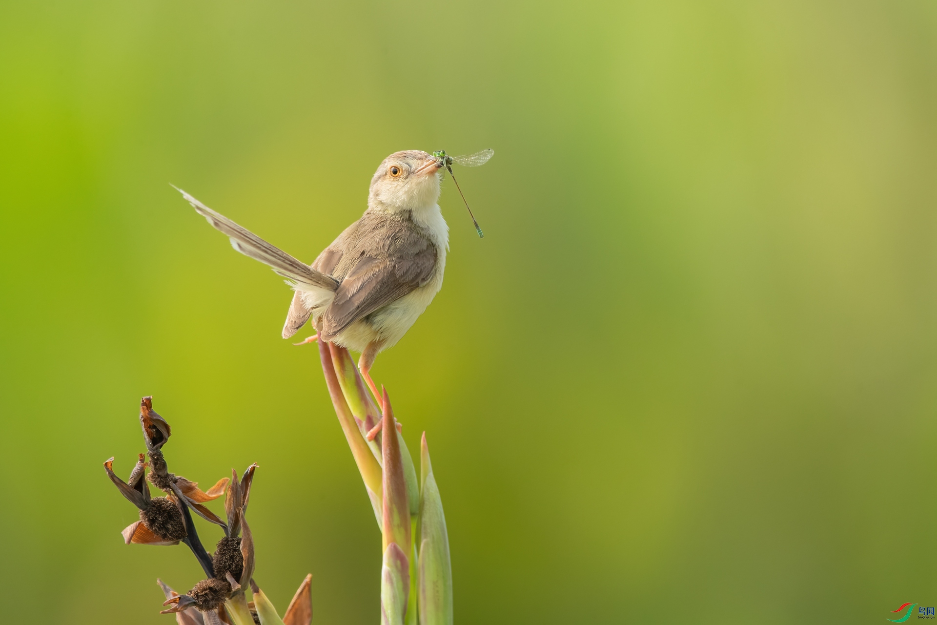 B86I9587 _����.jpg