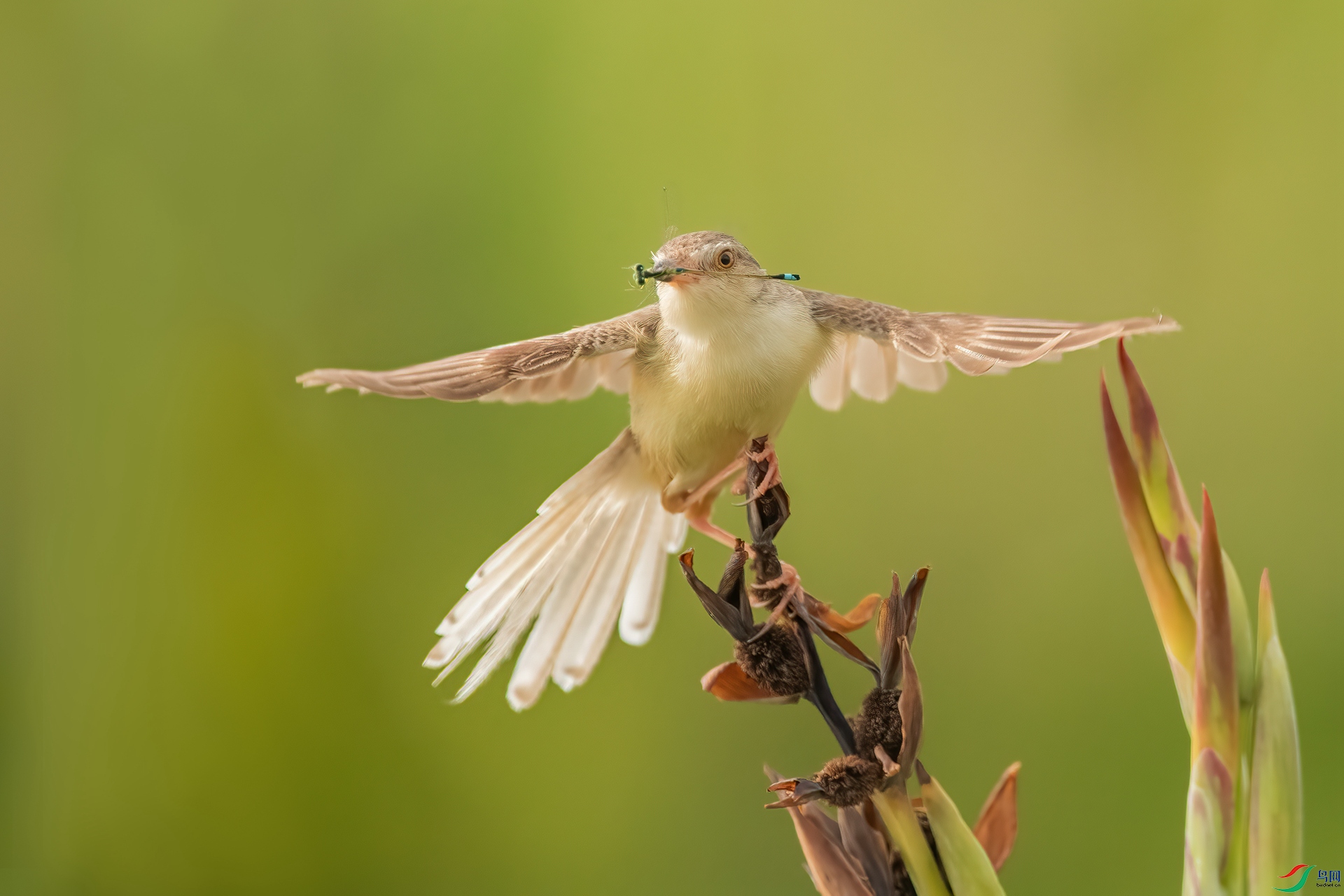 B86I8681 _����.jpg