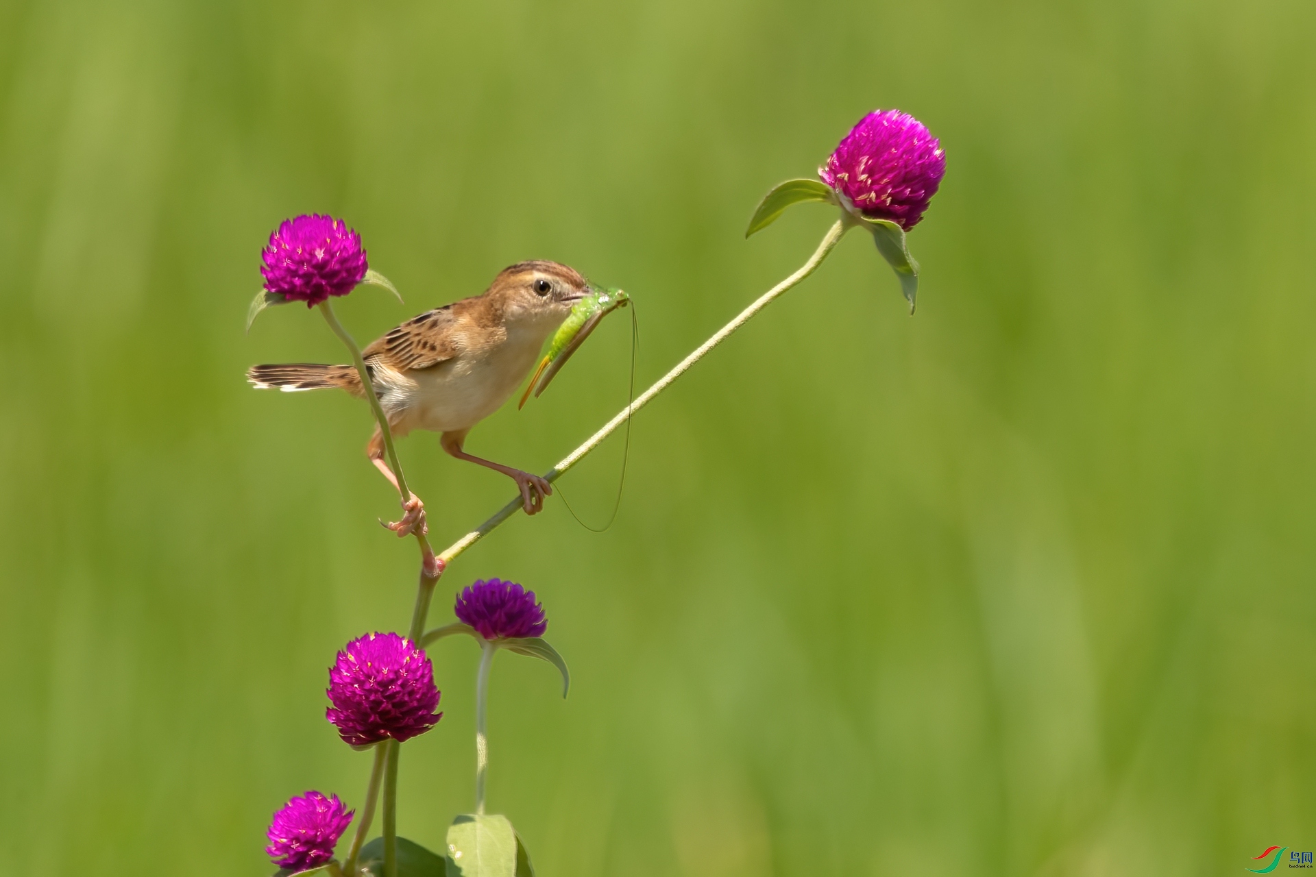 B86I5389 _����.jpg