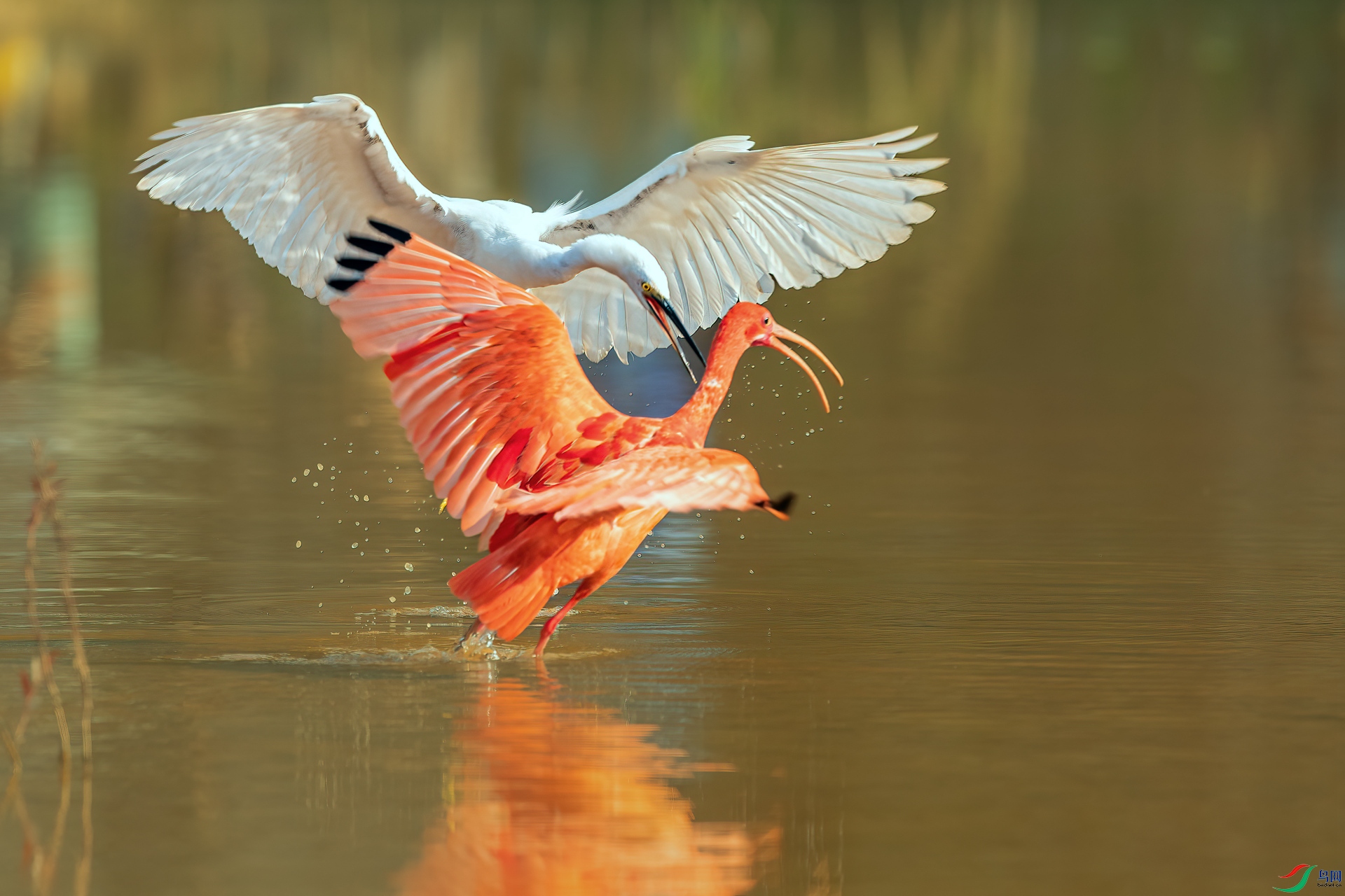 B86I7086 _����.jpg