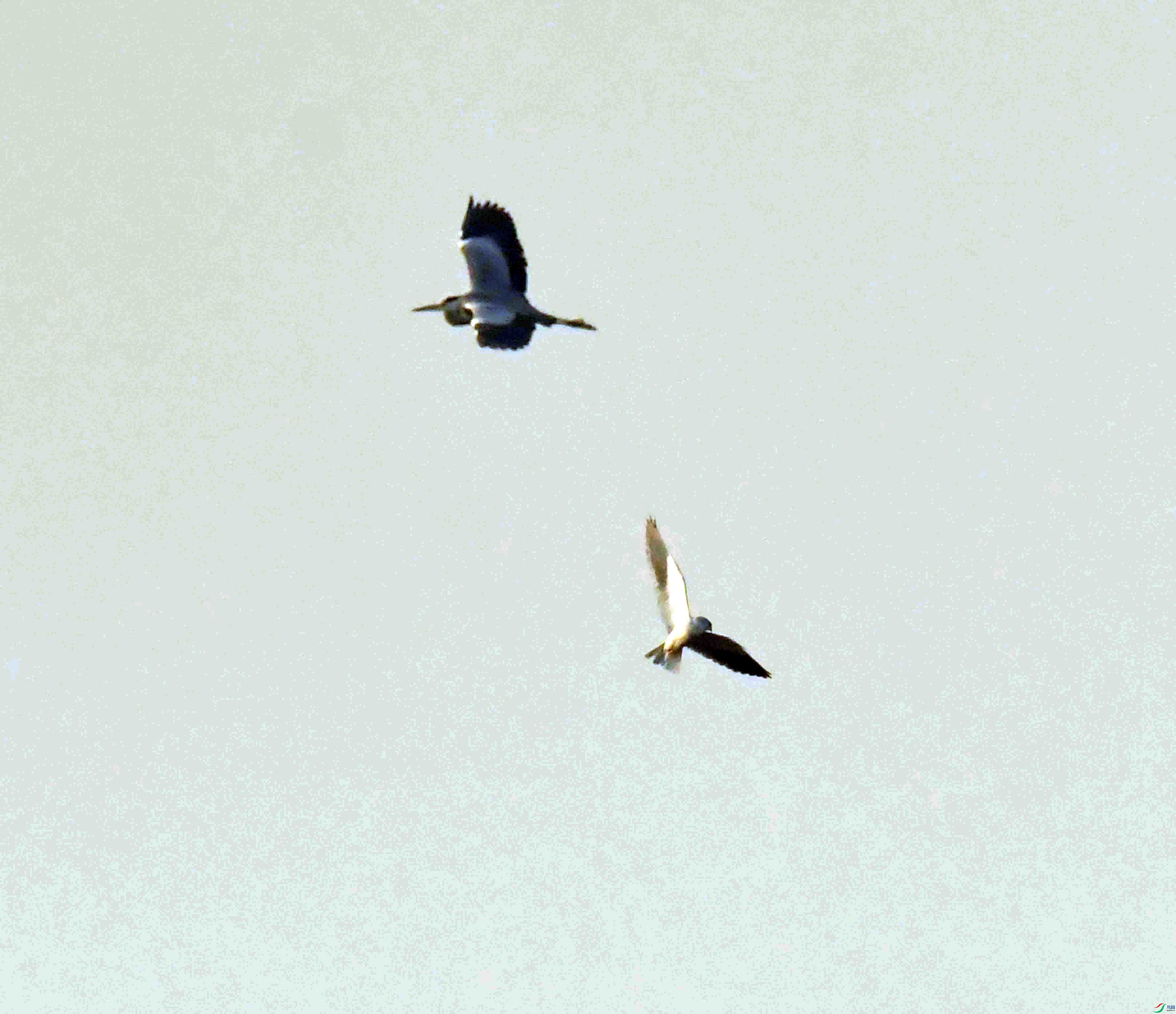 DSC_0070.JPG