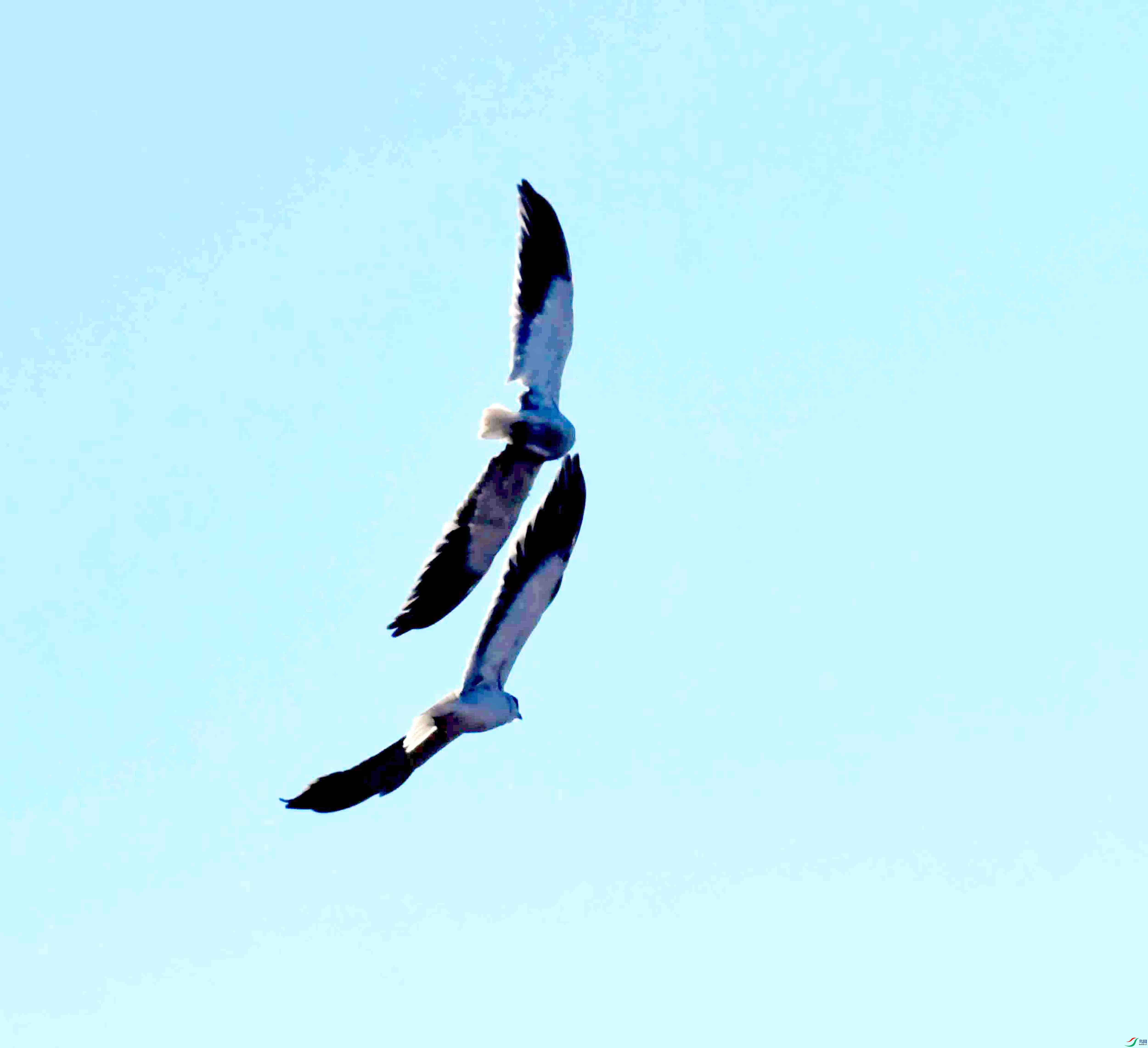 DSC_7187.JPG