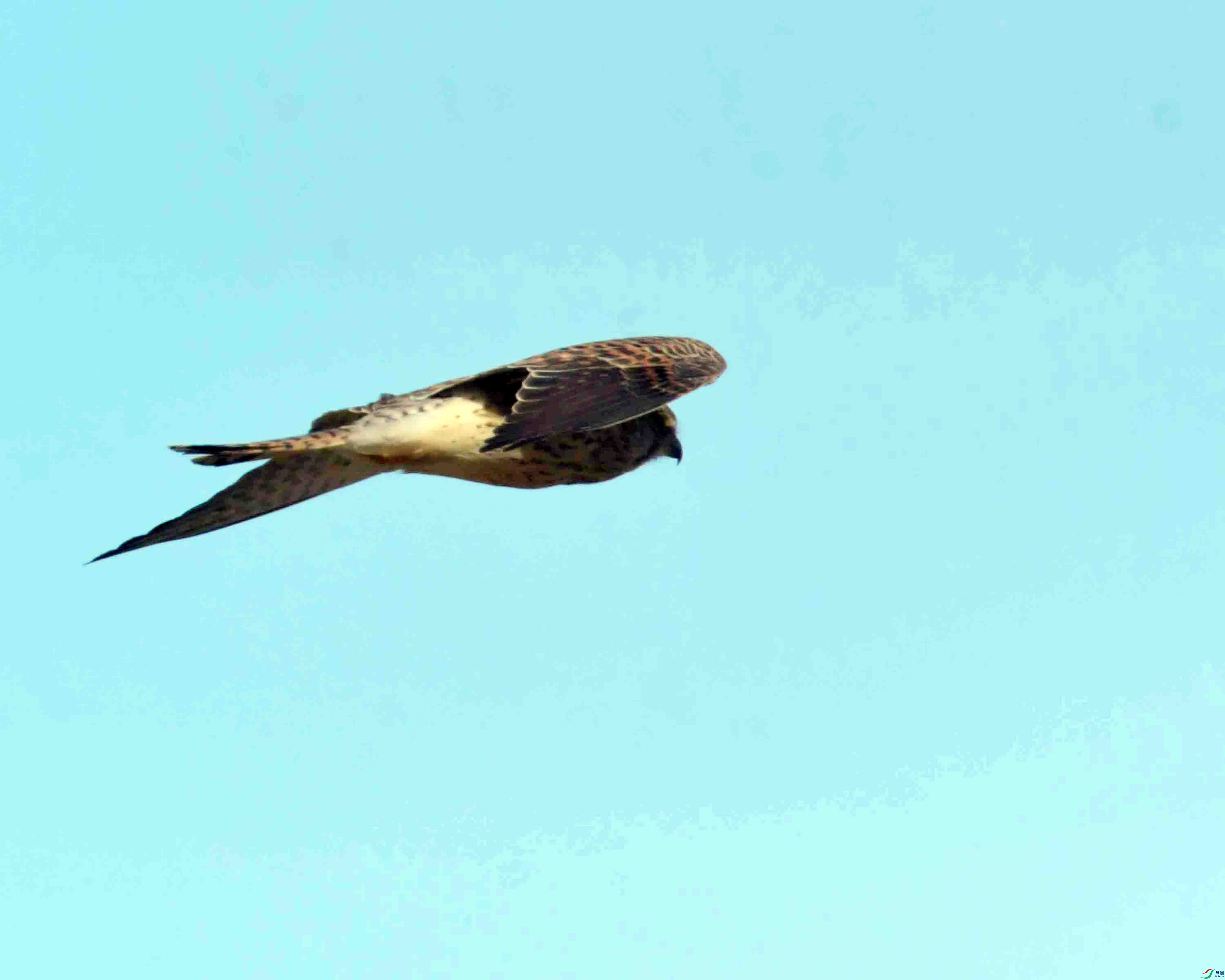 DSC_3104.JPG