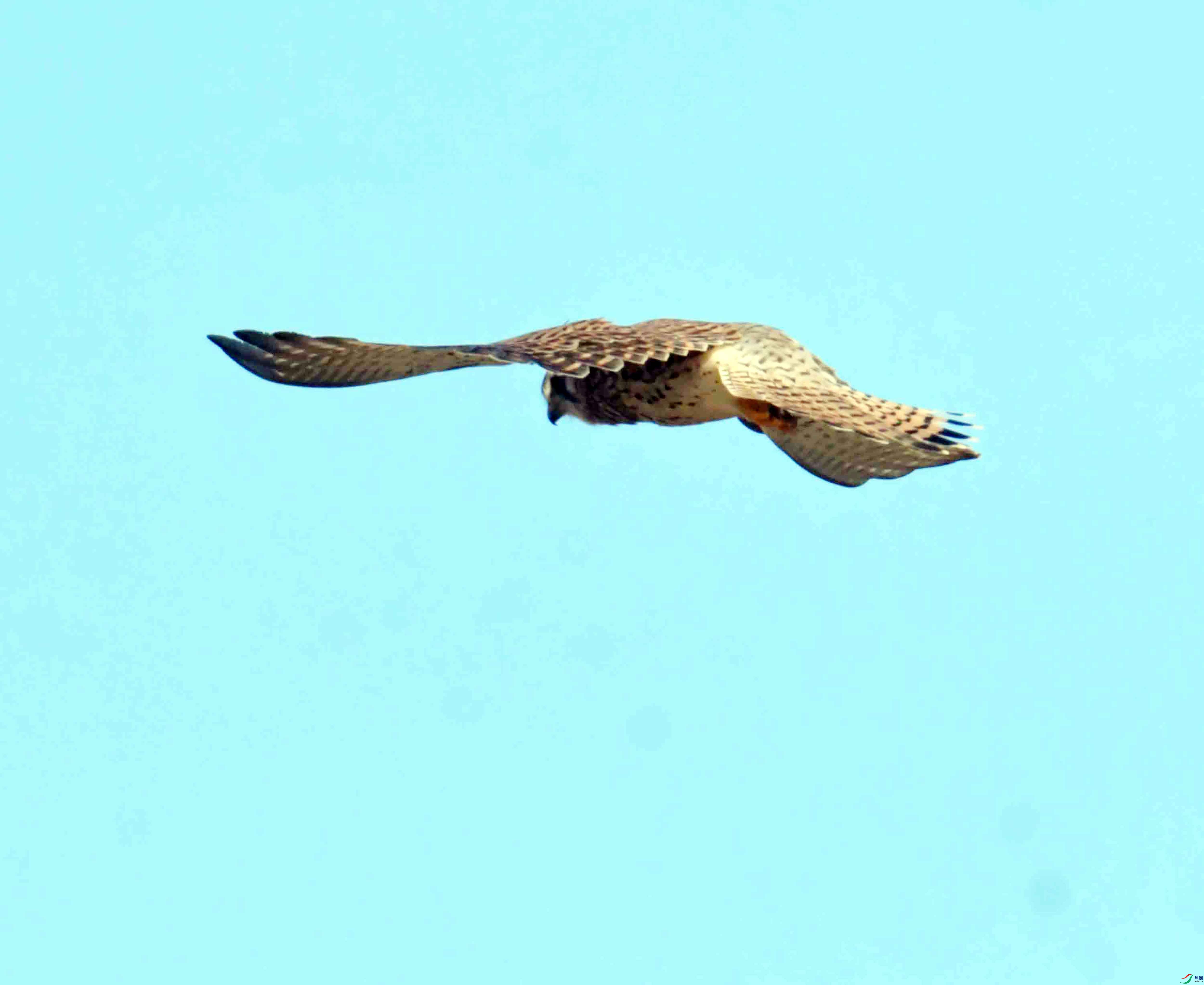 DSC_3107.JPG