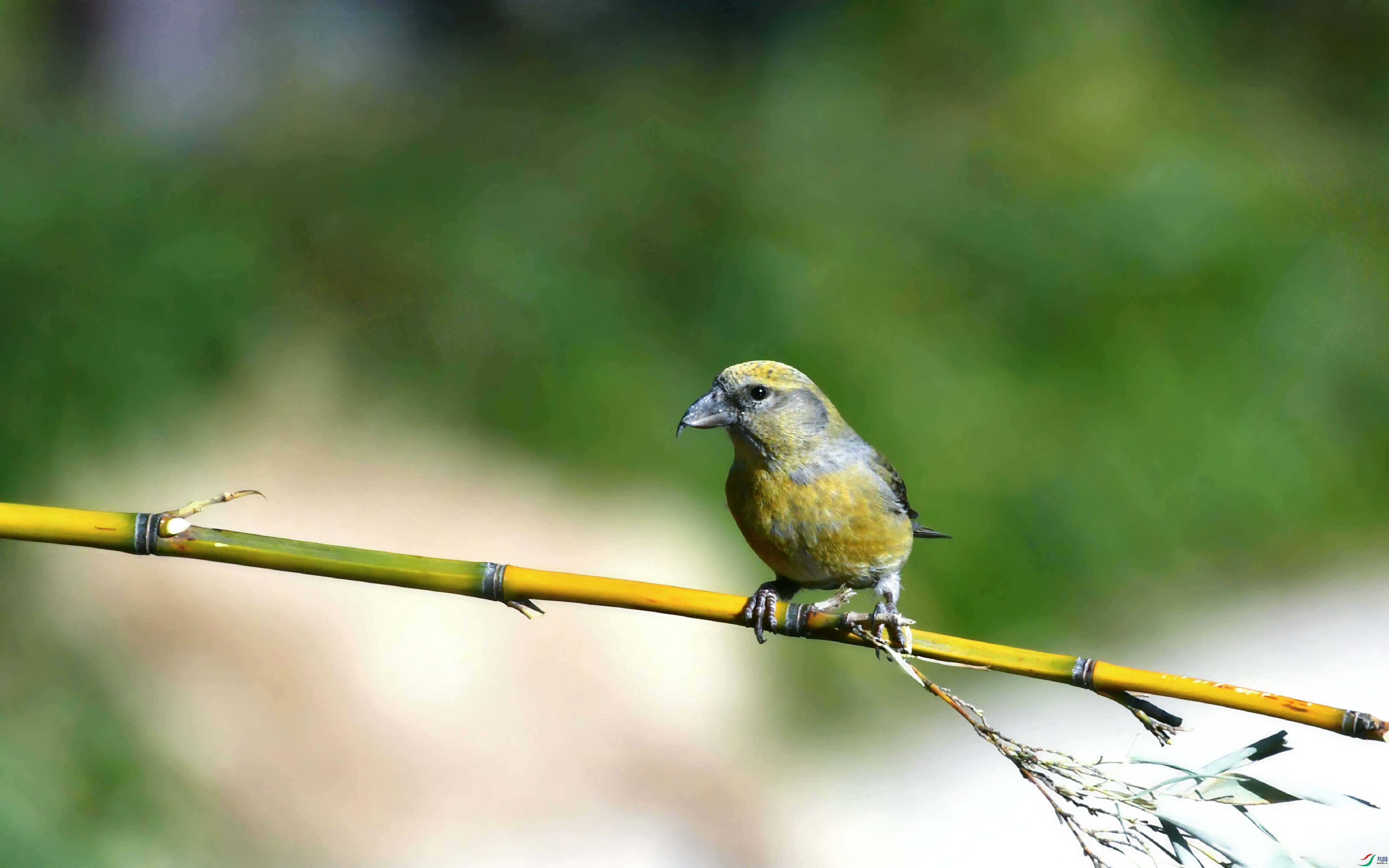 DSC_1821.JPG
