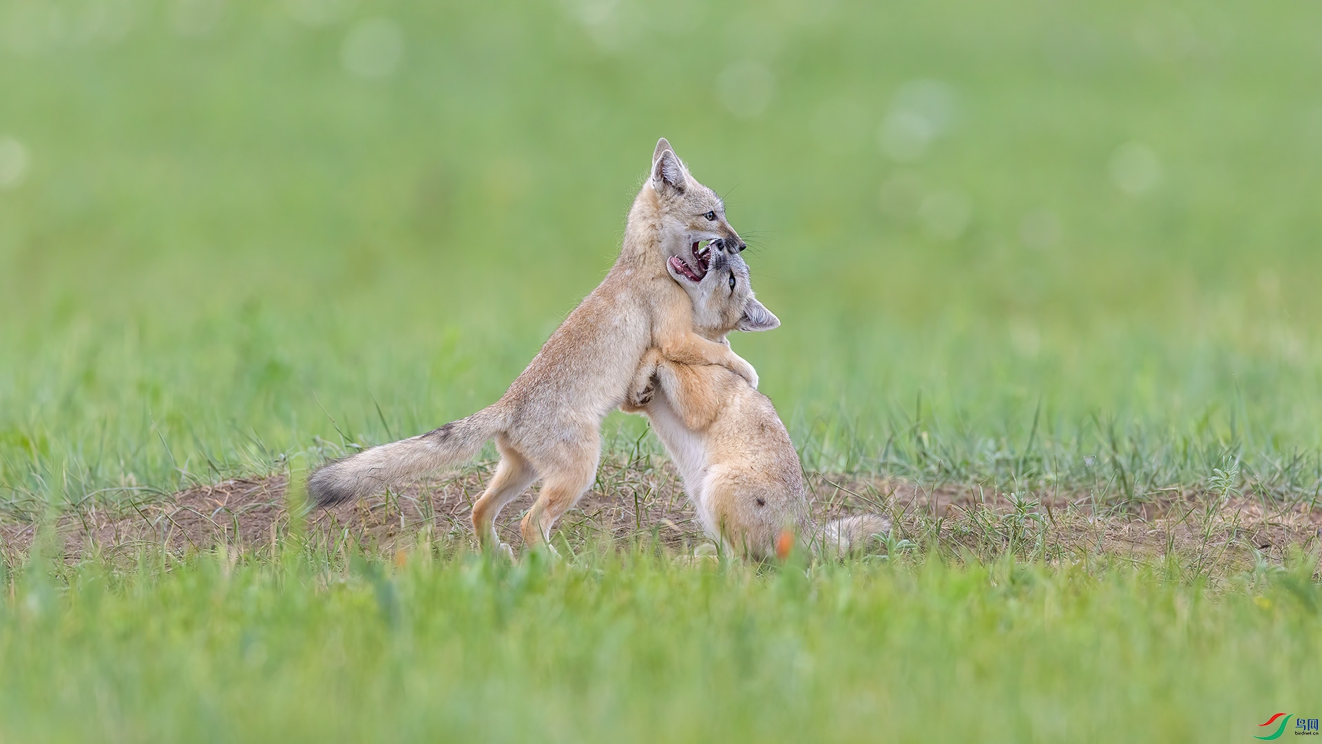 R3B_6886.jpg