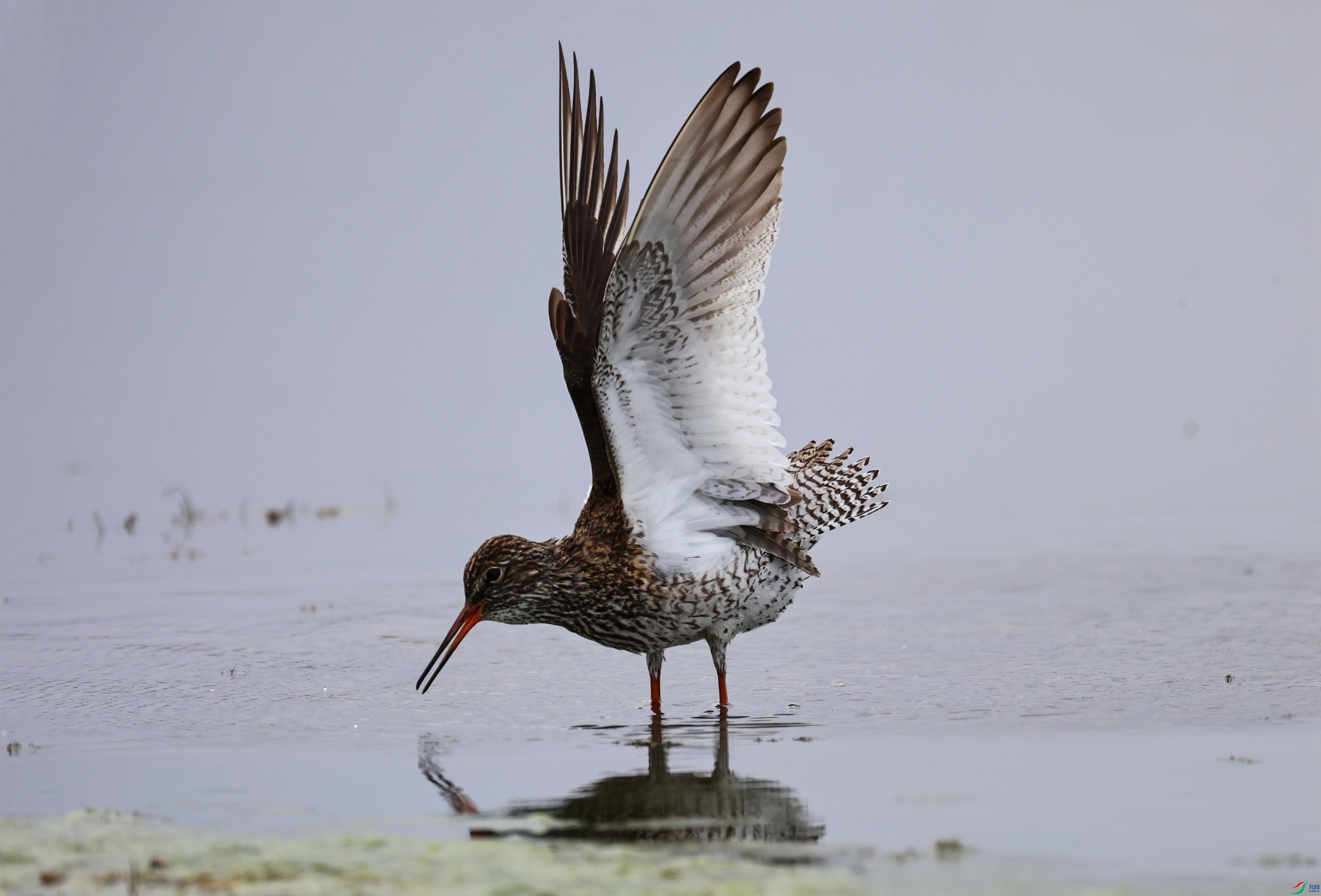 7X5A7477 - ����.JPG