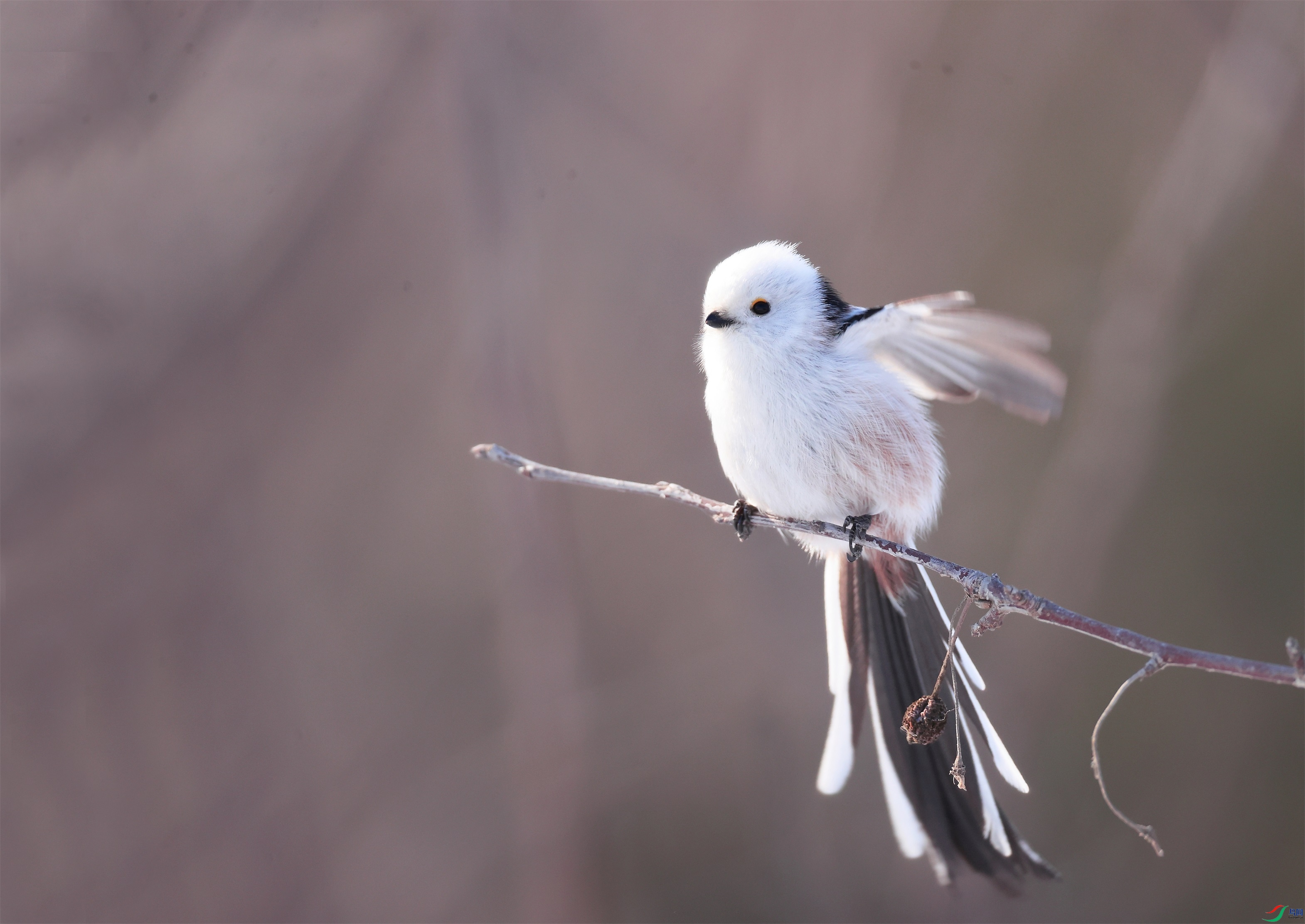 6 - ���� (3).JPG