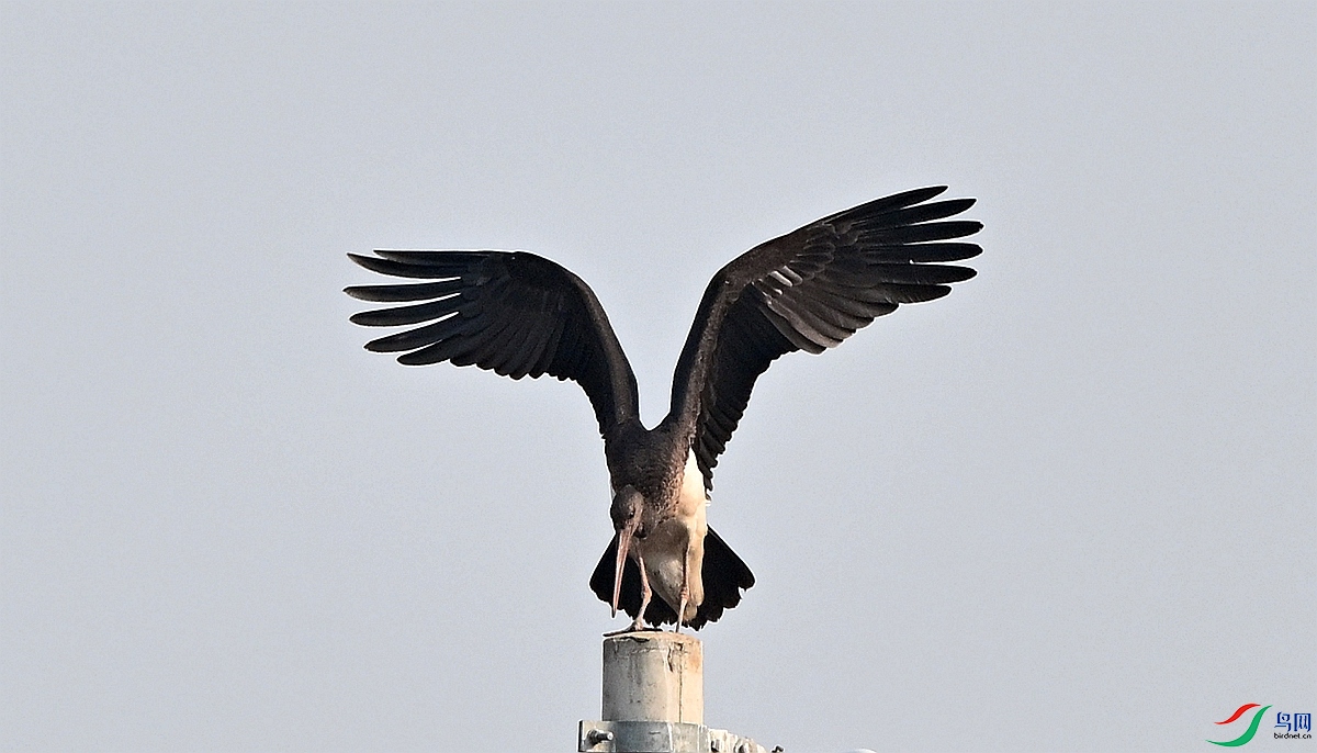 DSC_3016.JPG