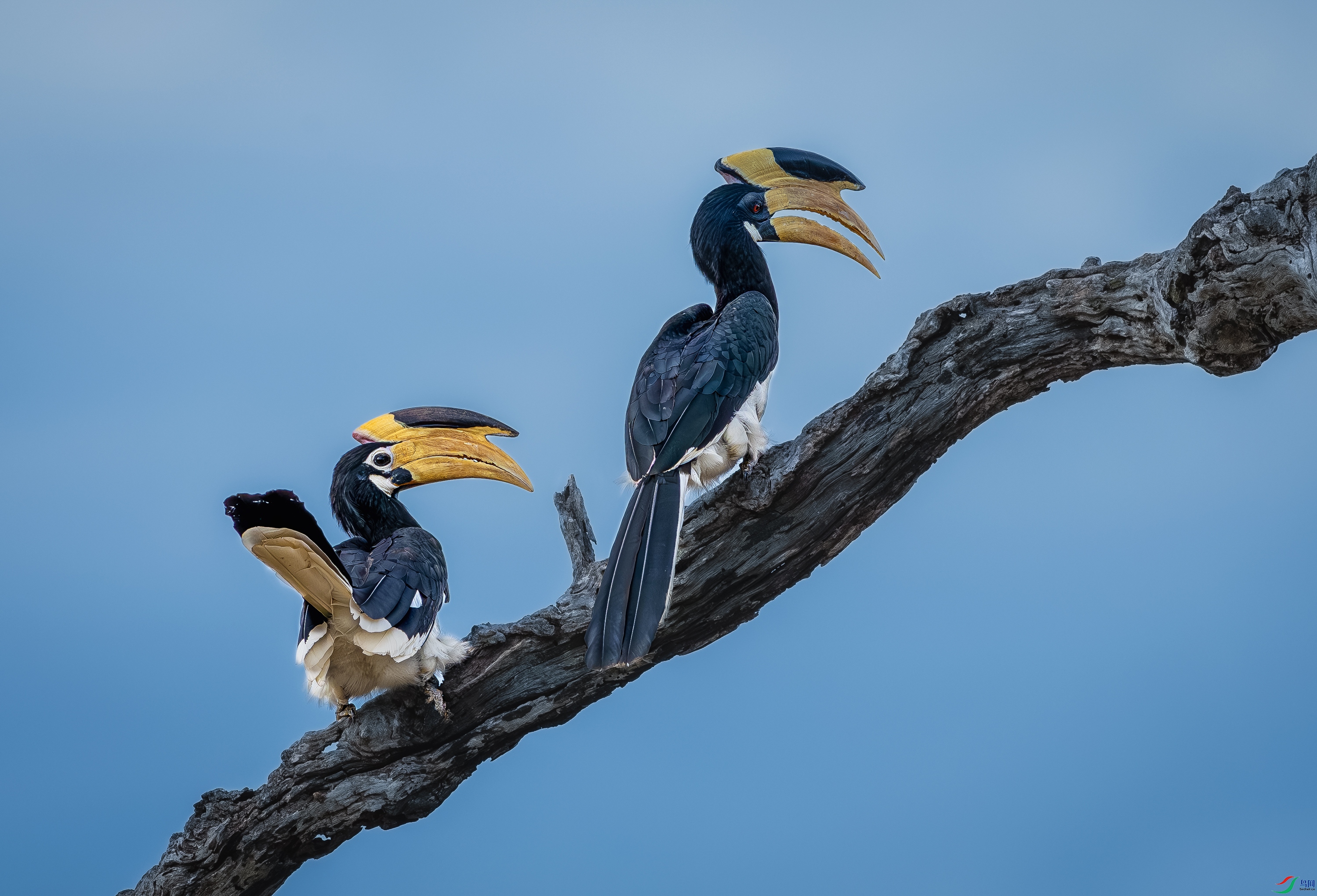 _YH_6693-����ǿ-NR-22.jpg