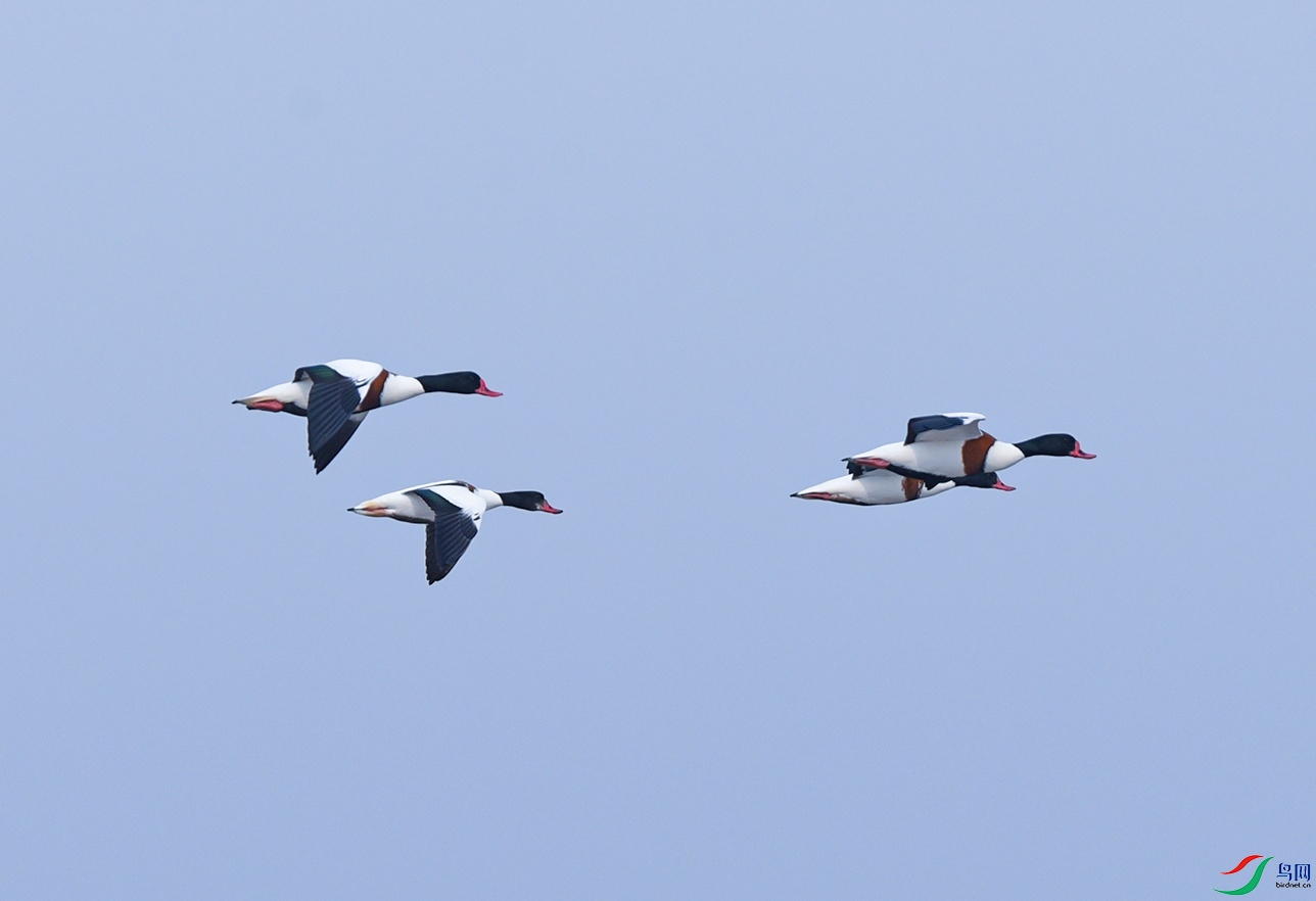 DSC_8729f_��ͼ��.jpg