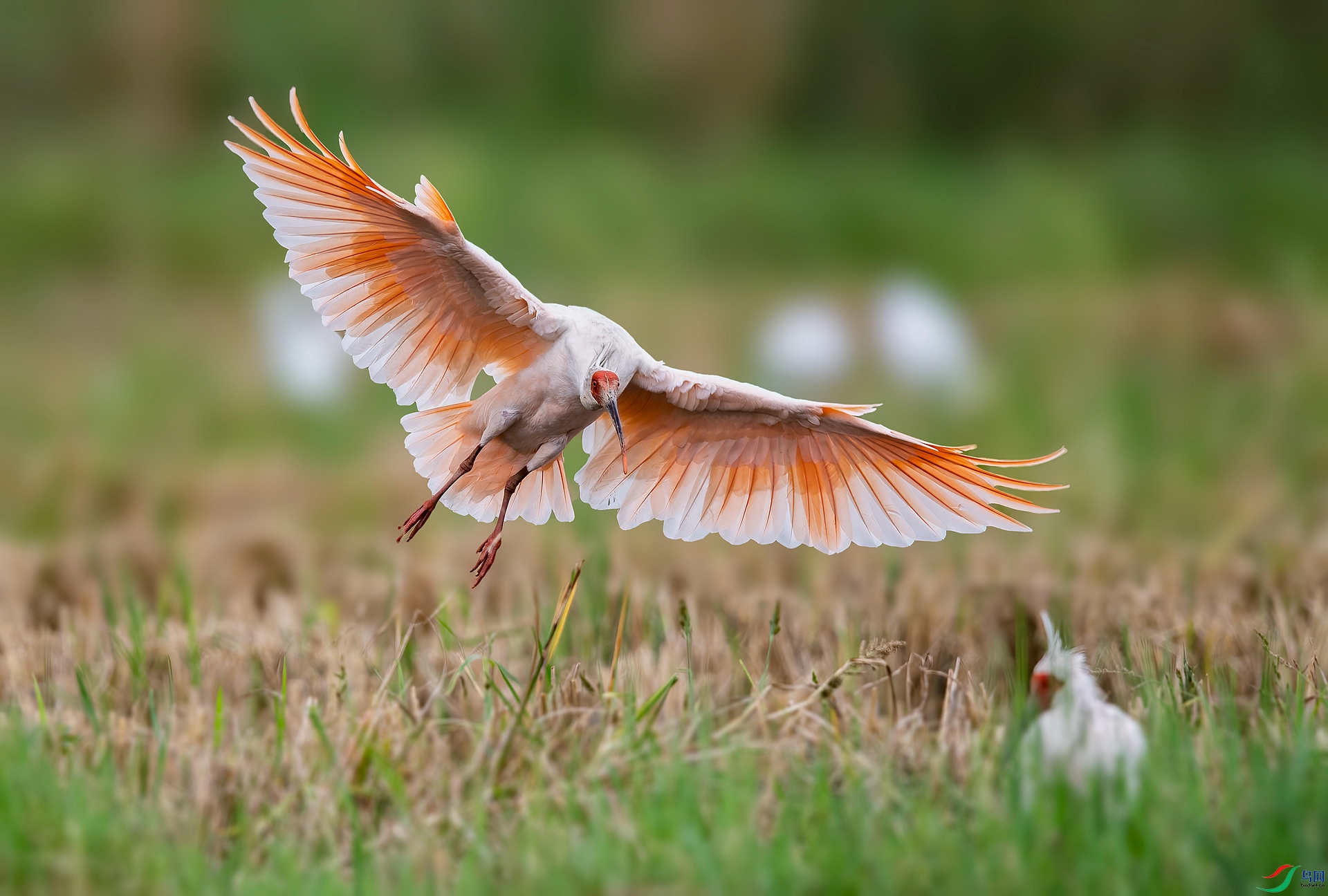 DSC_3090 ����_����.jpg