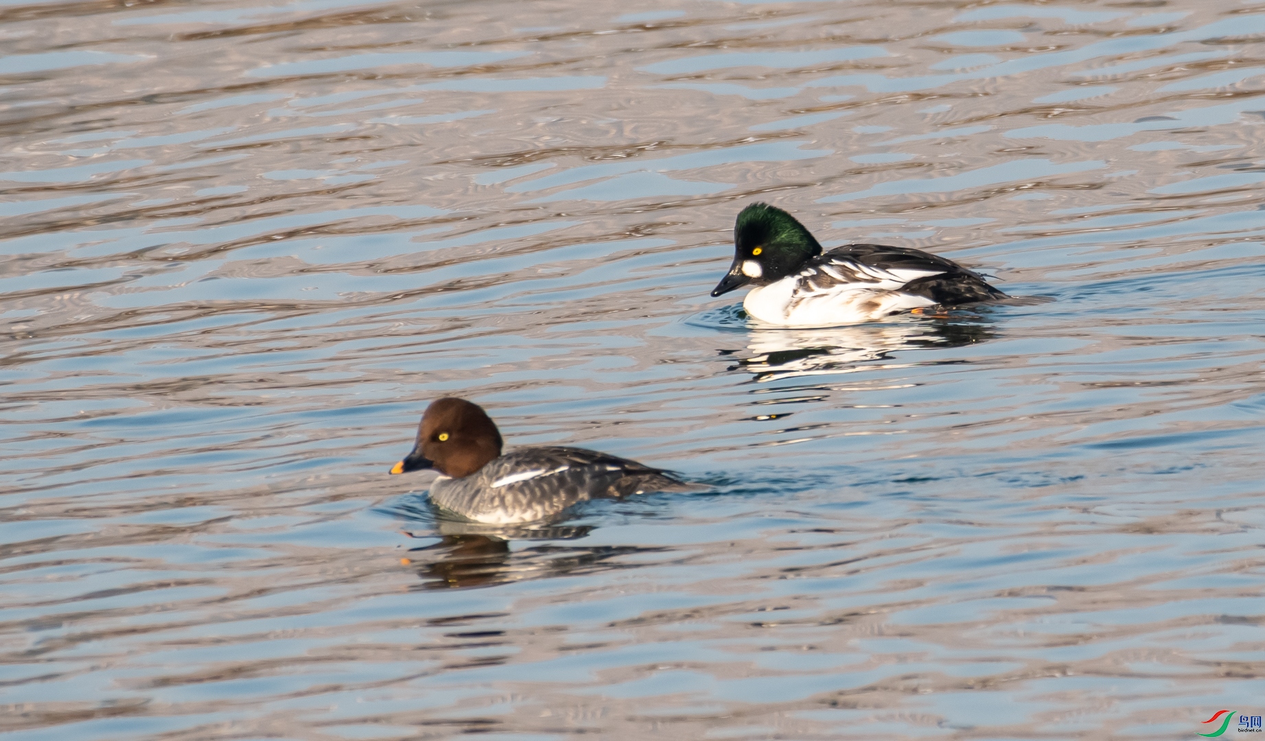 DSC_6336.jpg