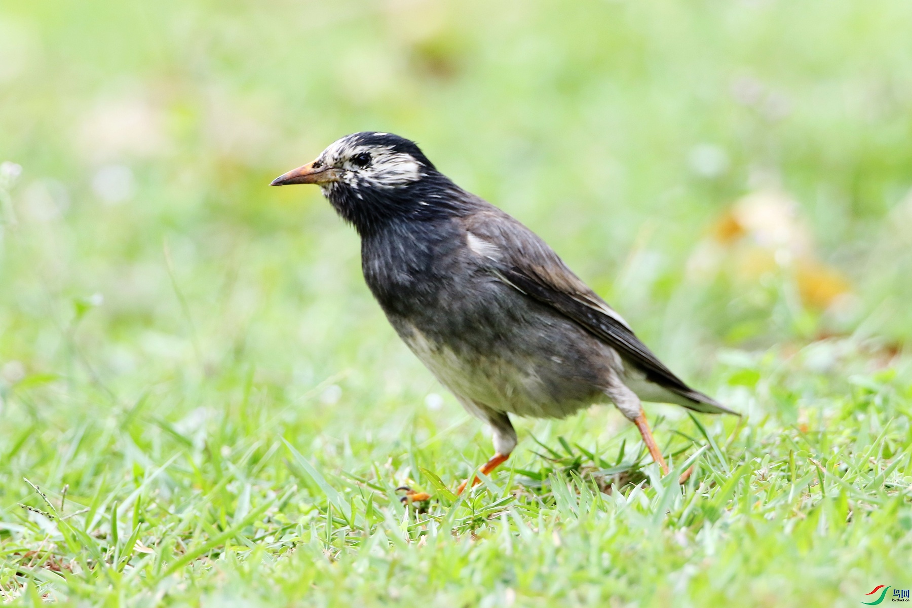 4S3A2900_����.jpg