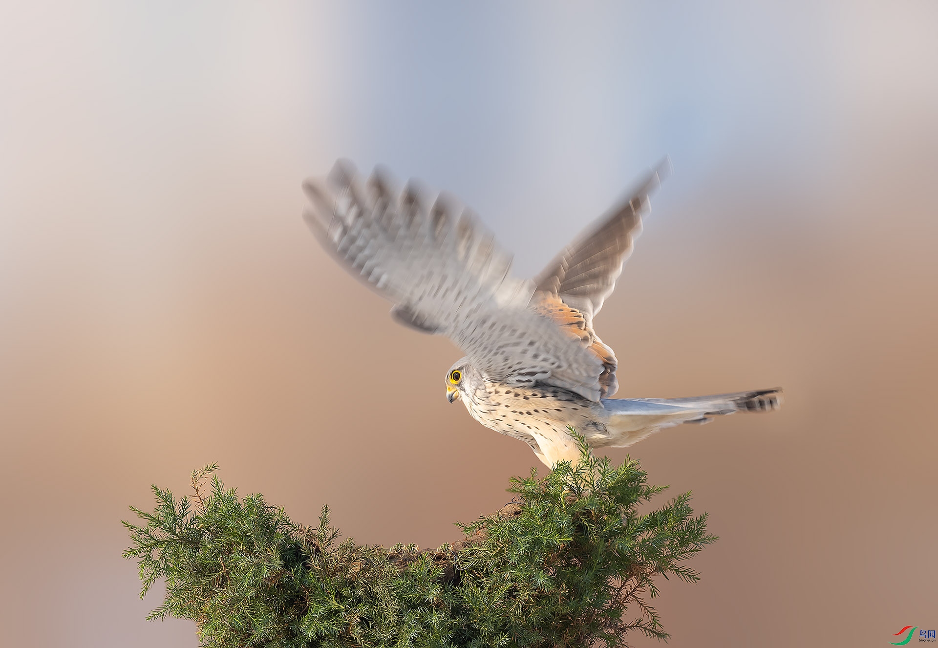 019A0074 ����.jpg